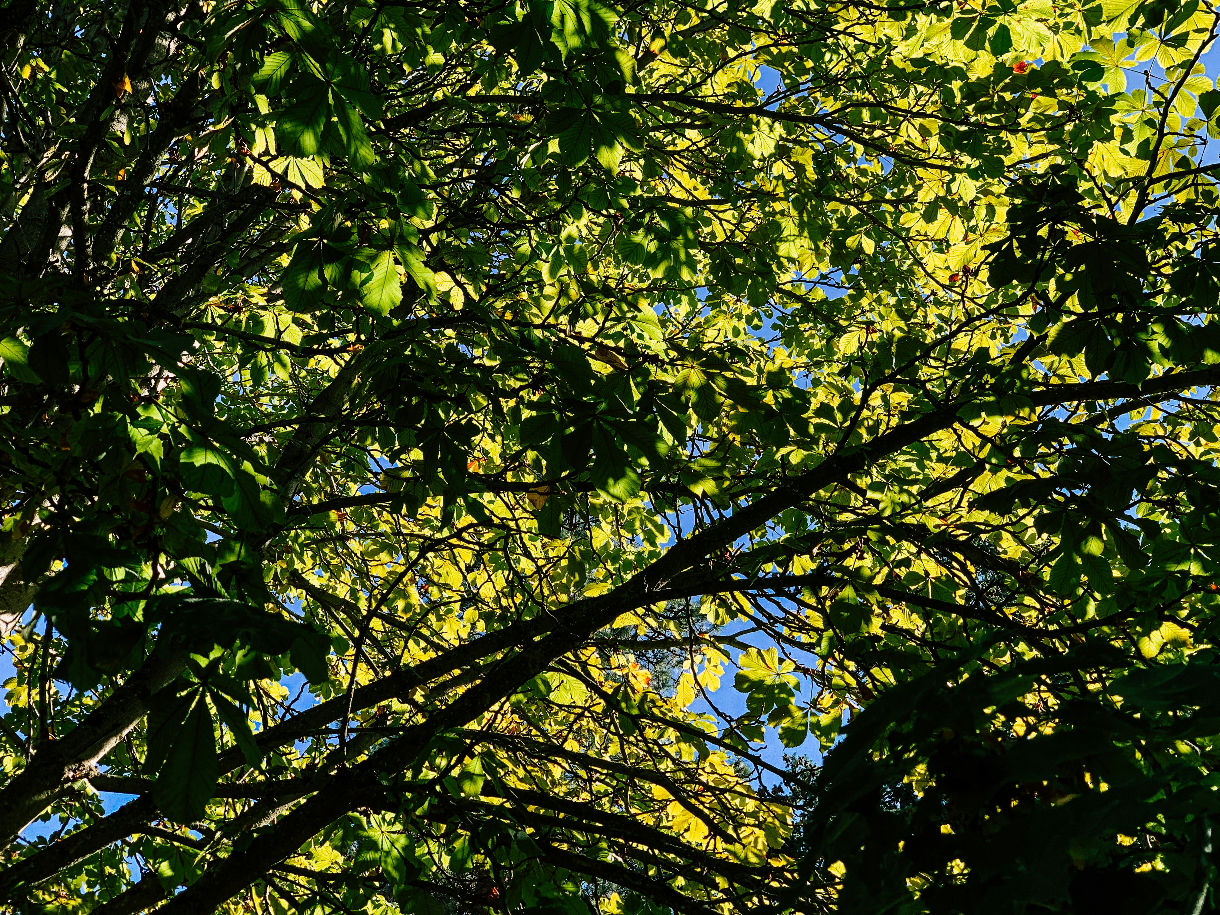 Photo by kolbymilton