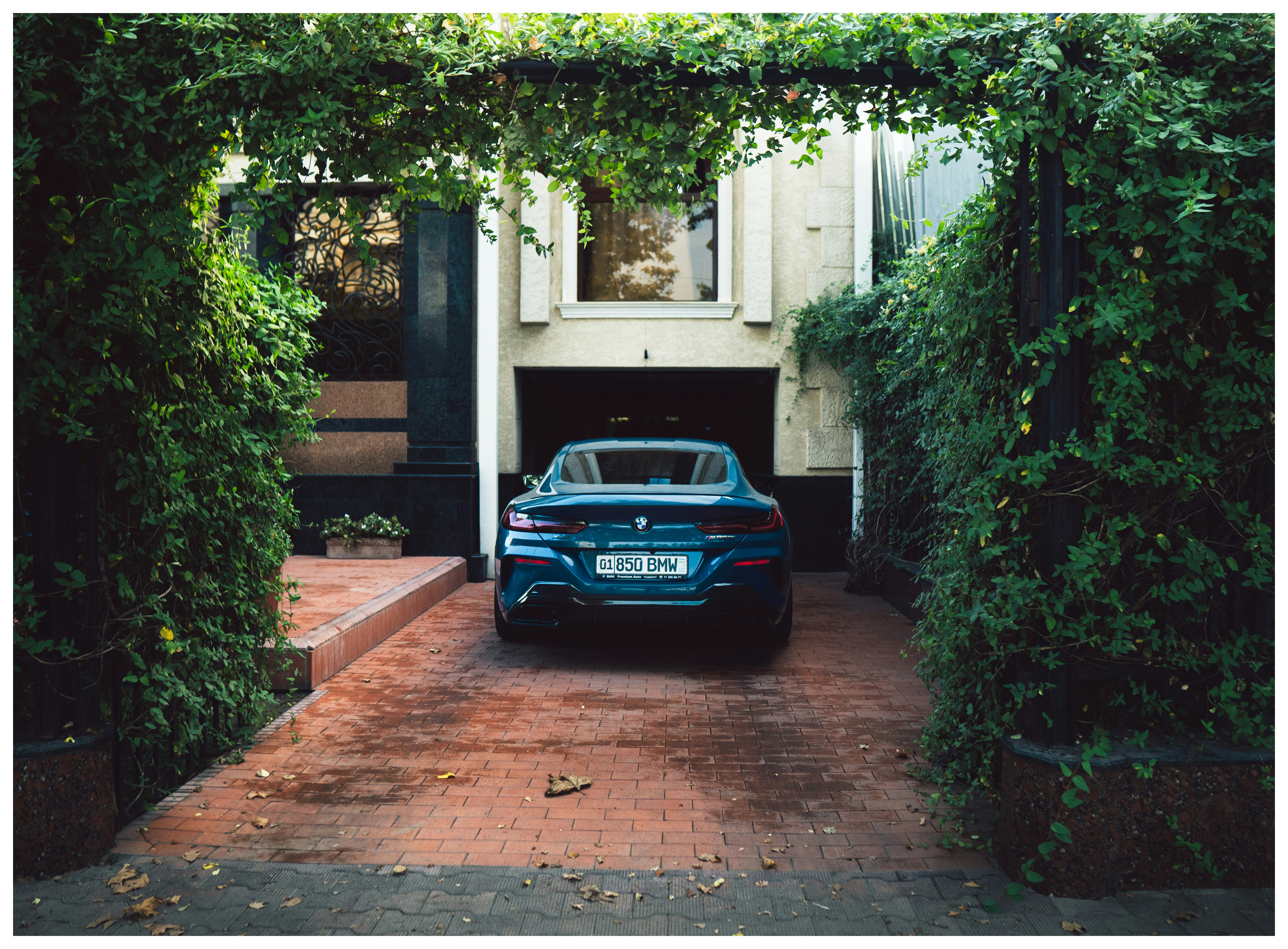 Photo by avocado_nikto