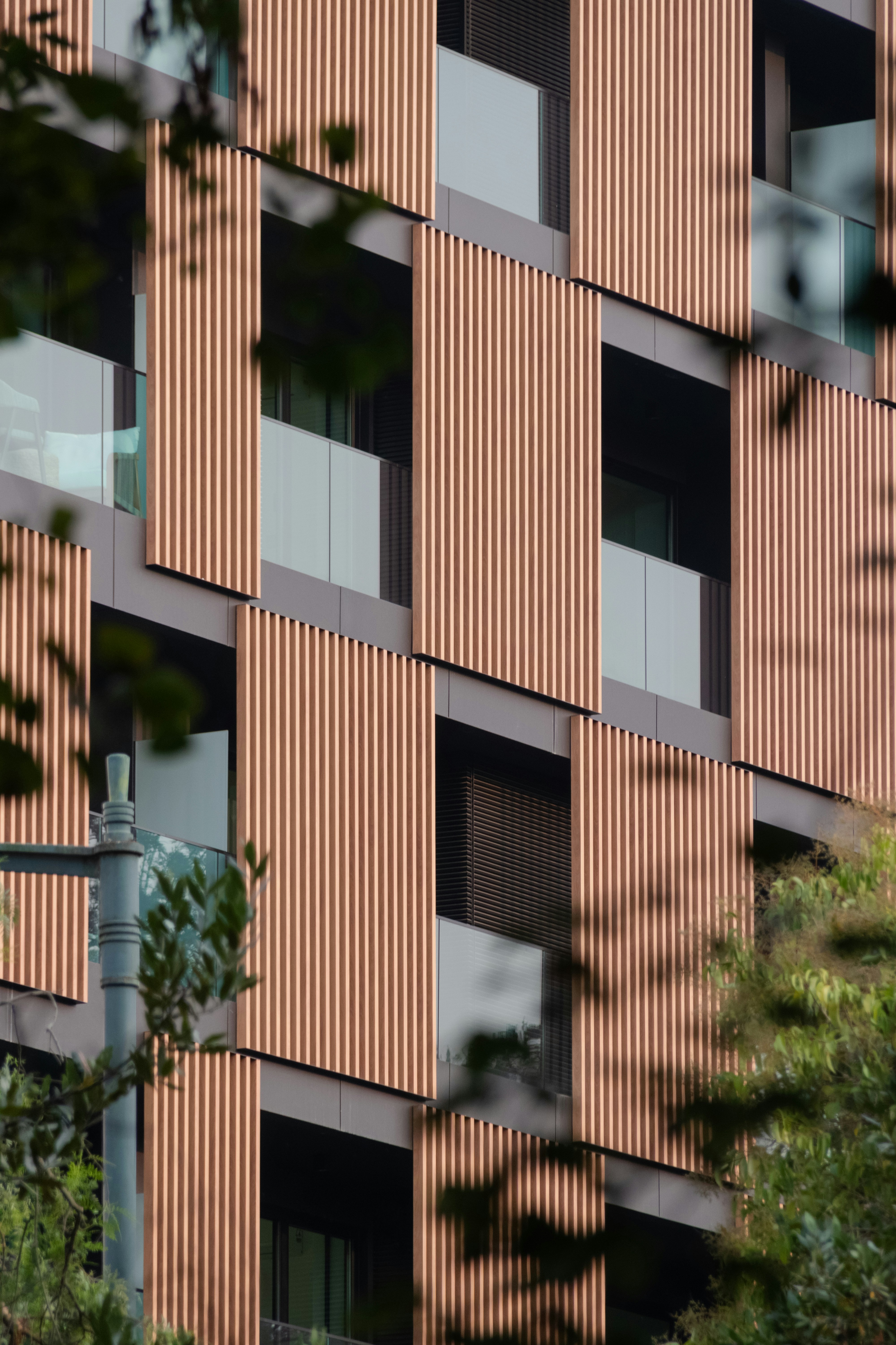 Photo by filipenobre