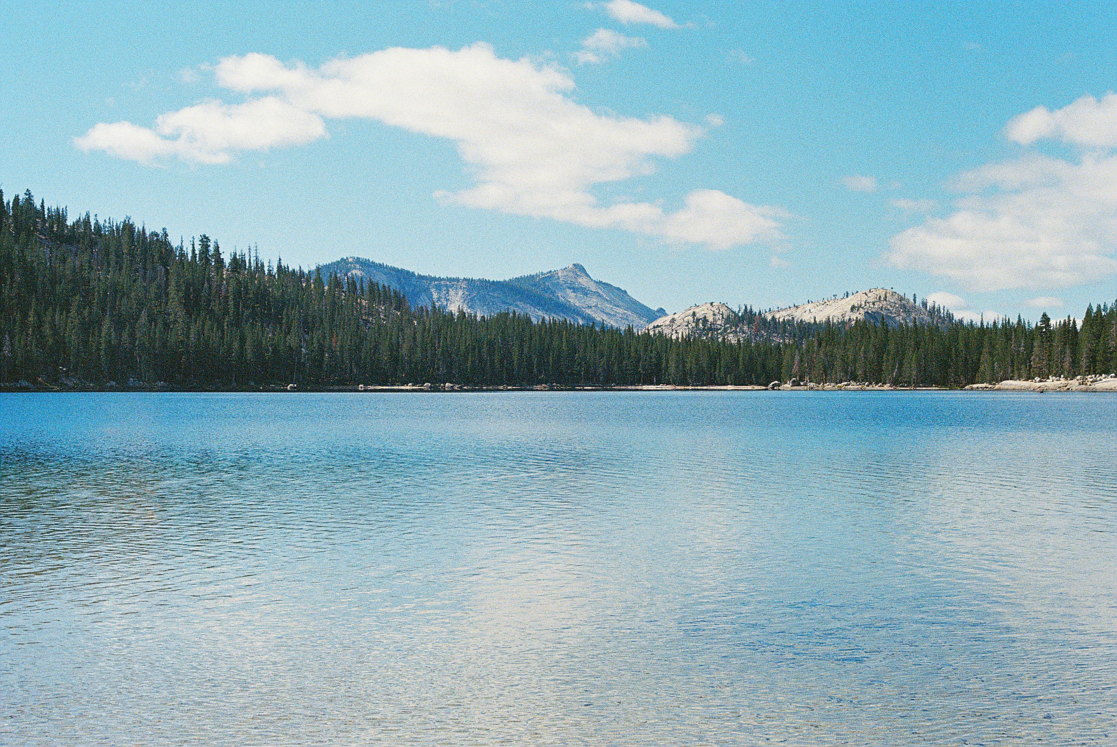 Photo by jewadalnabi