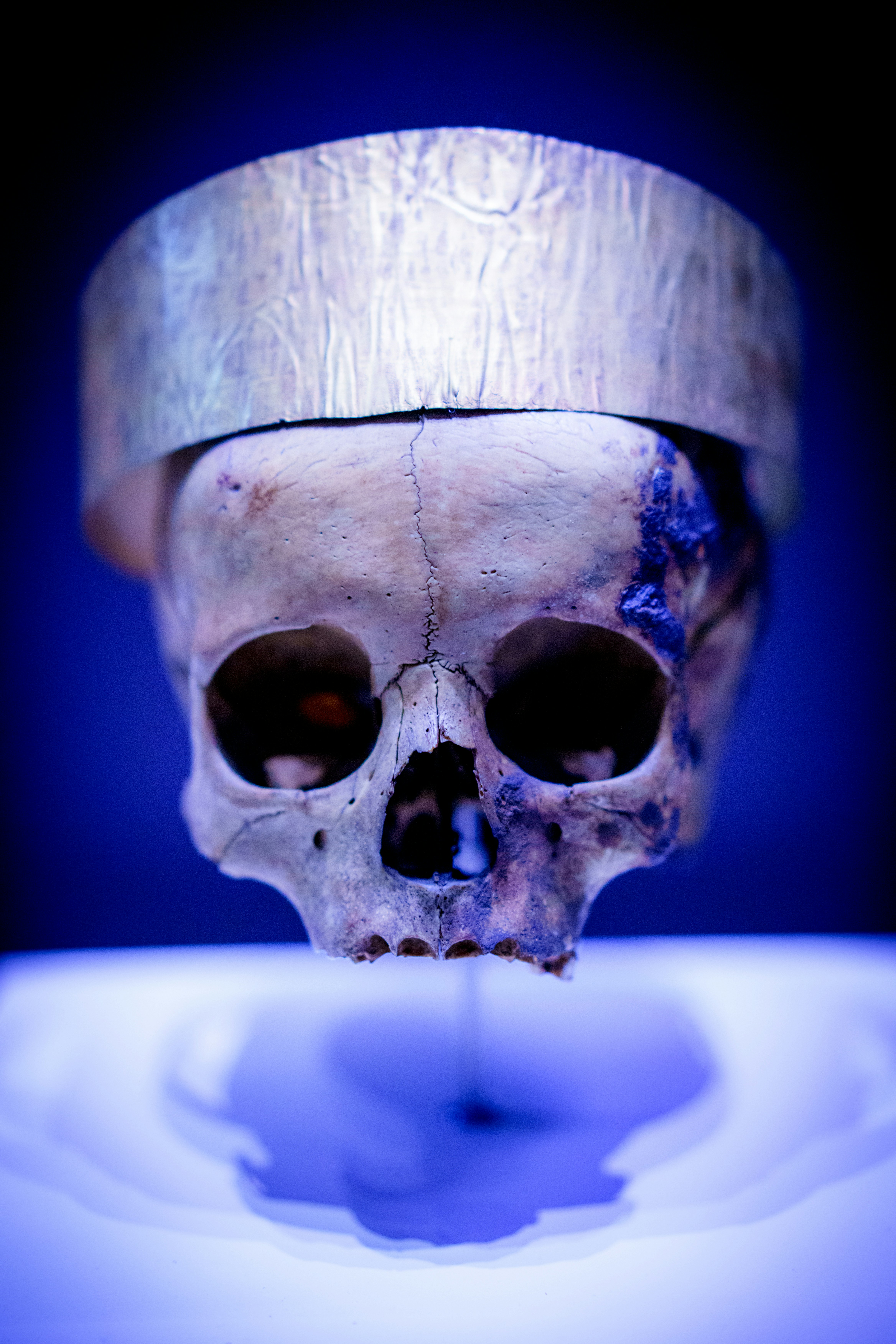 From Forensics to Scholarship: Using Web Archives as Evidence in 2026