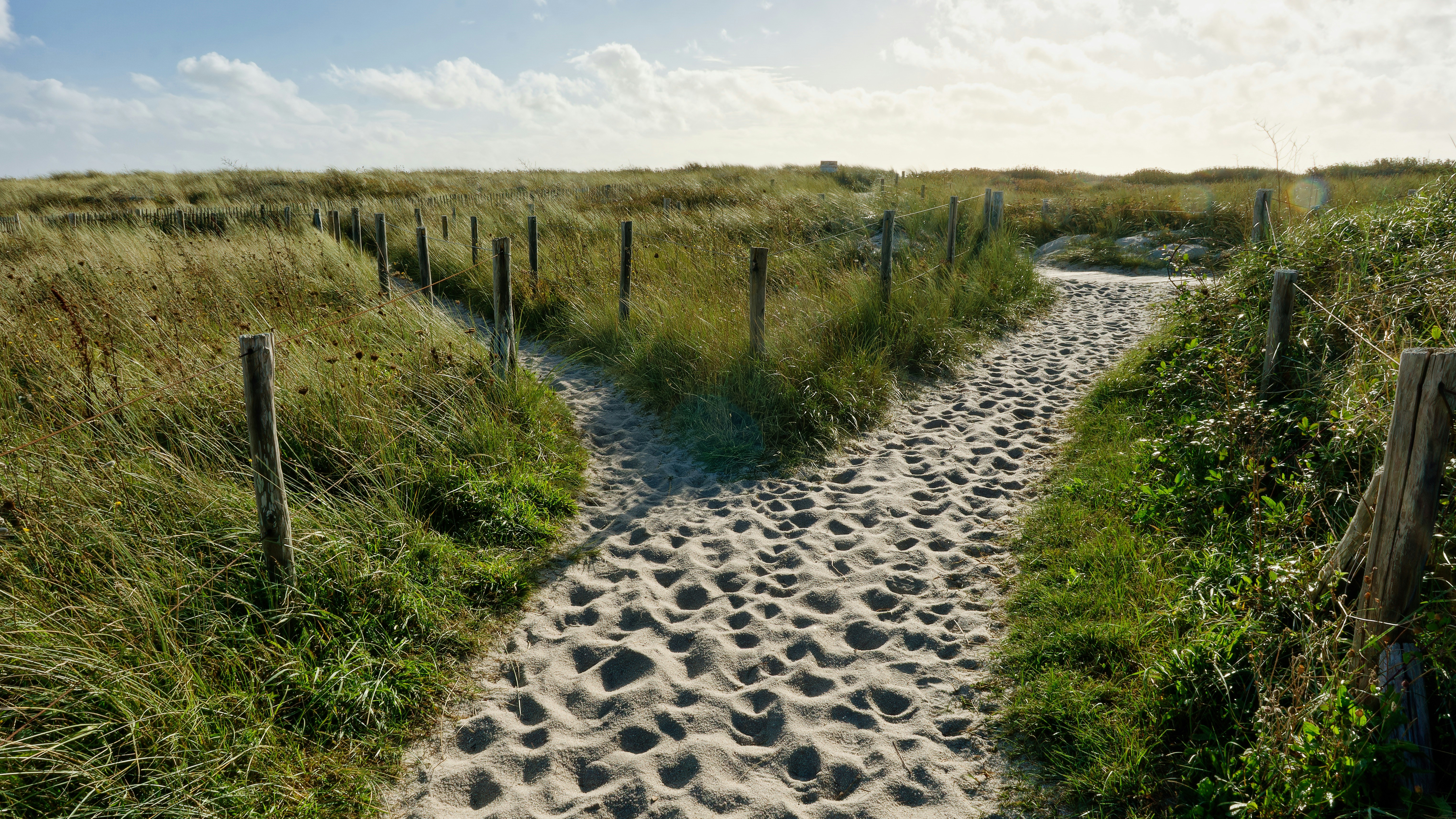 A path in the middle of a grassy field