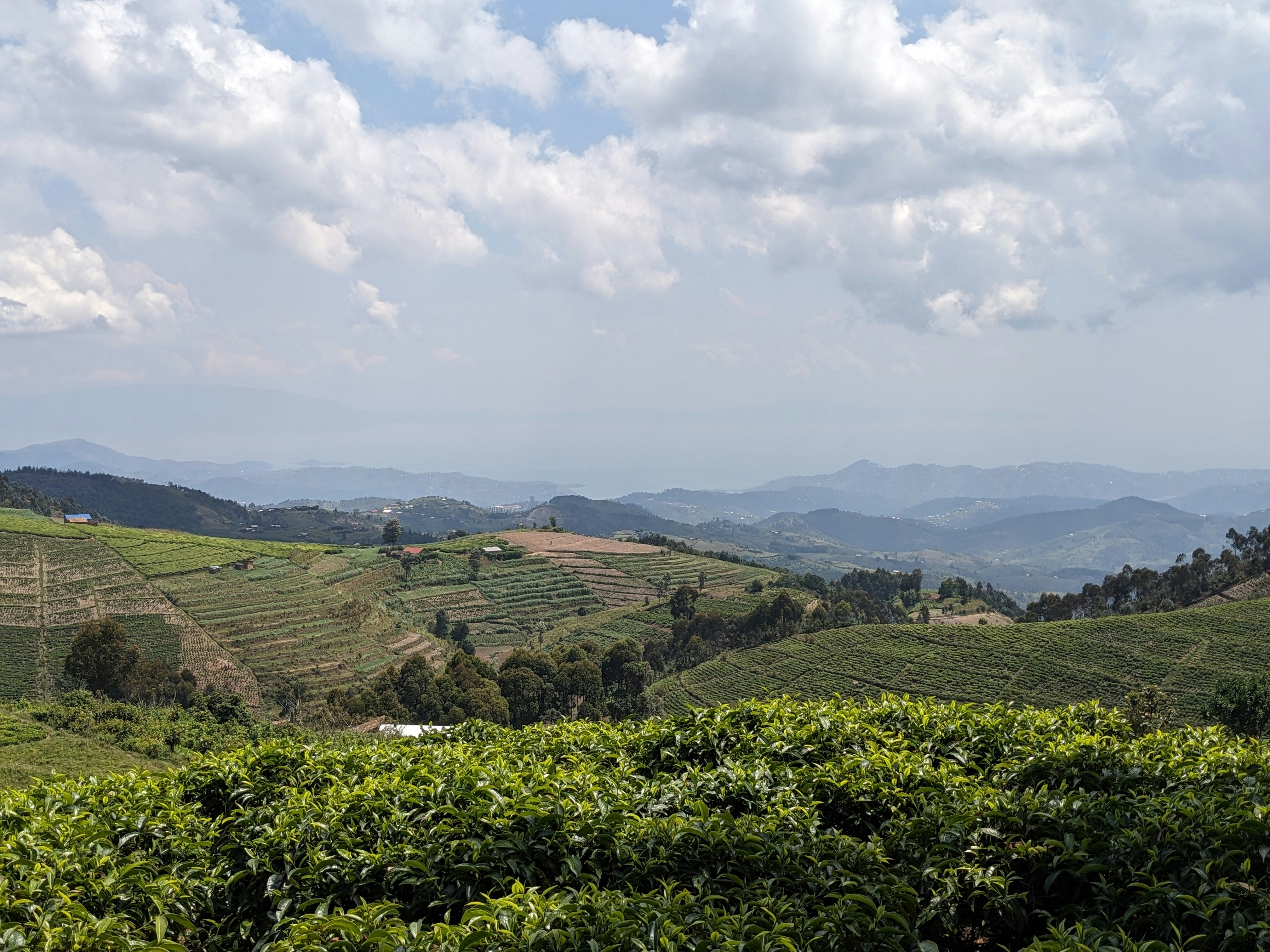 Photo by valecongoniletours