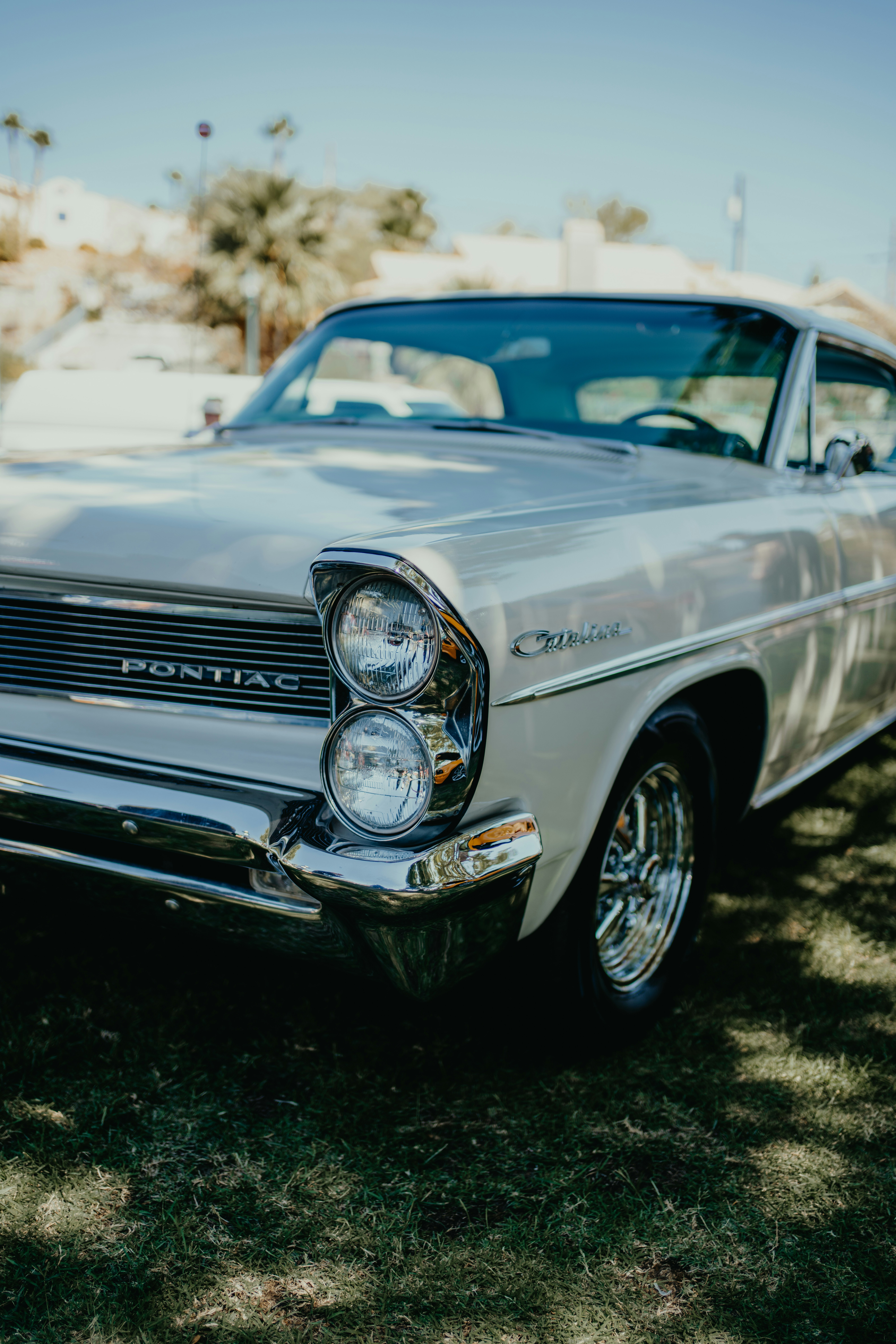 Photo by dimadallacqua