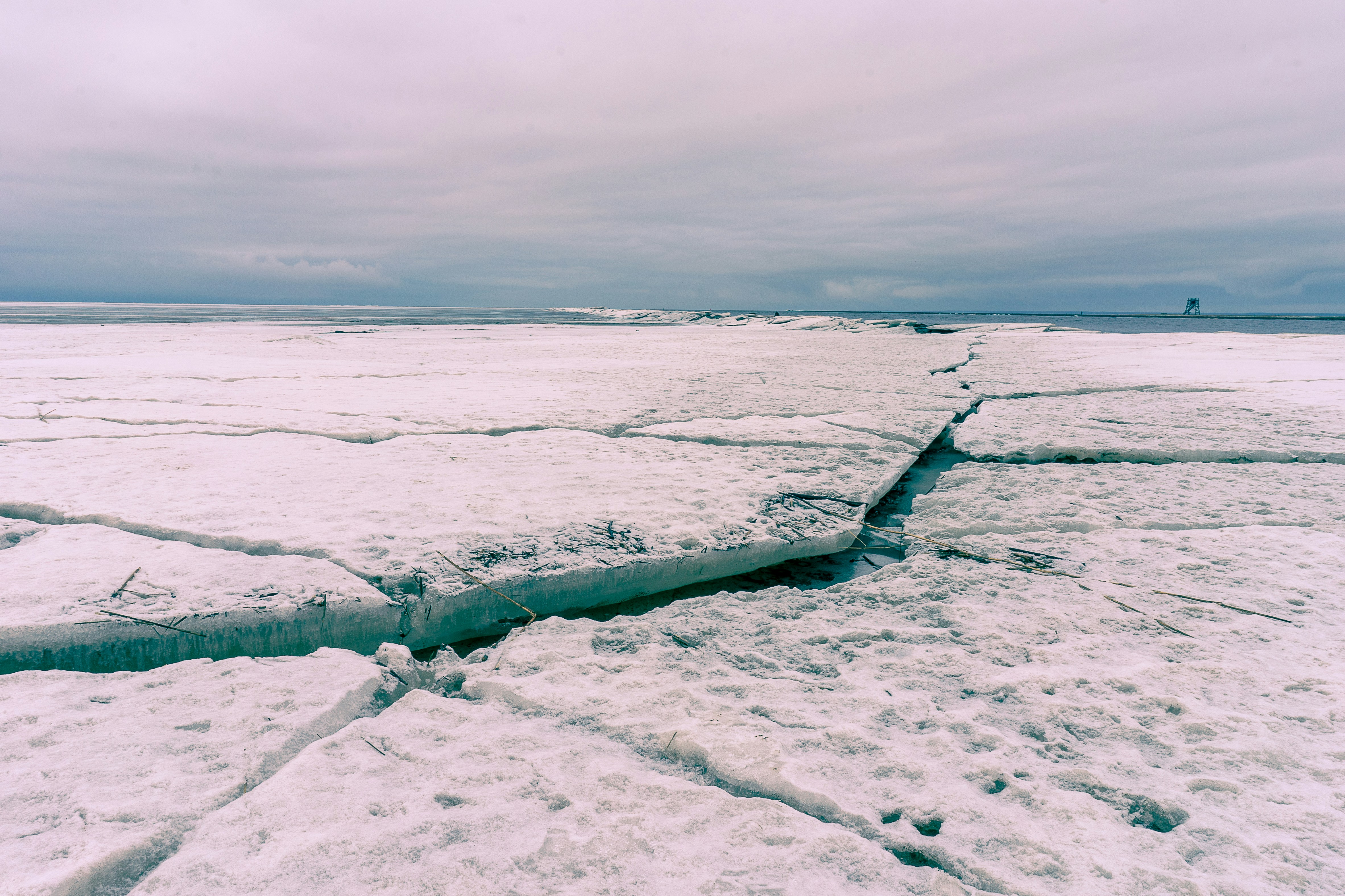 Photo by andruslukas