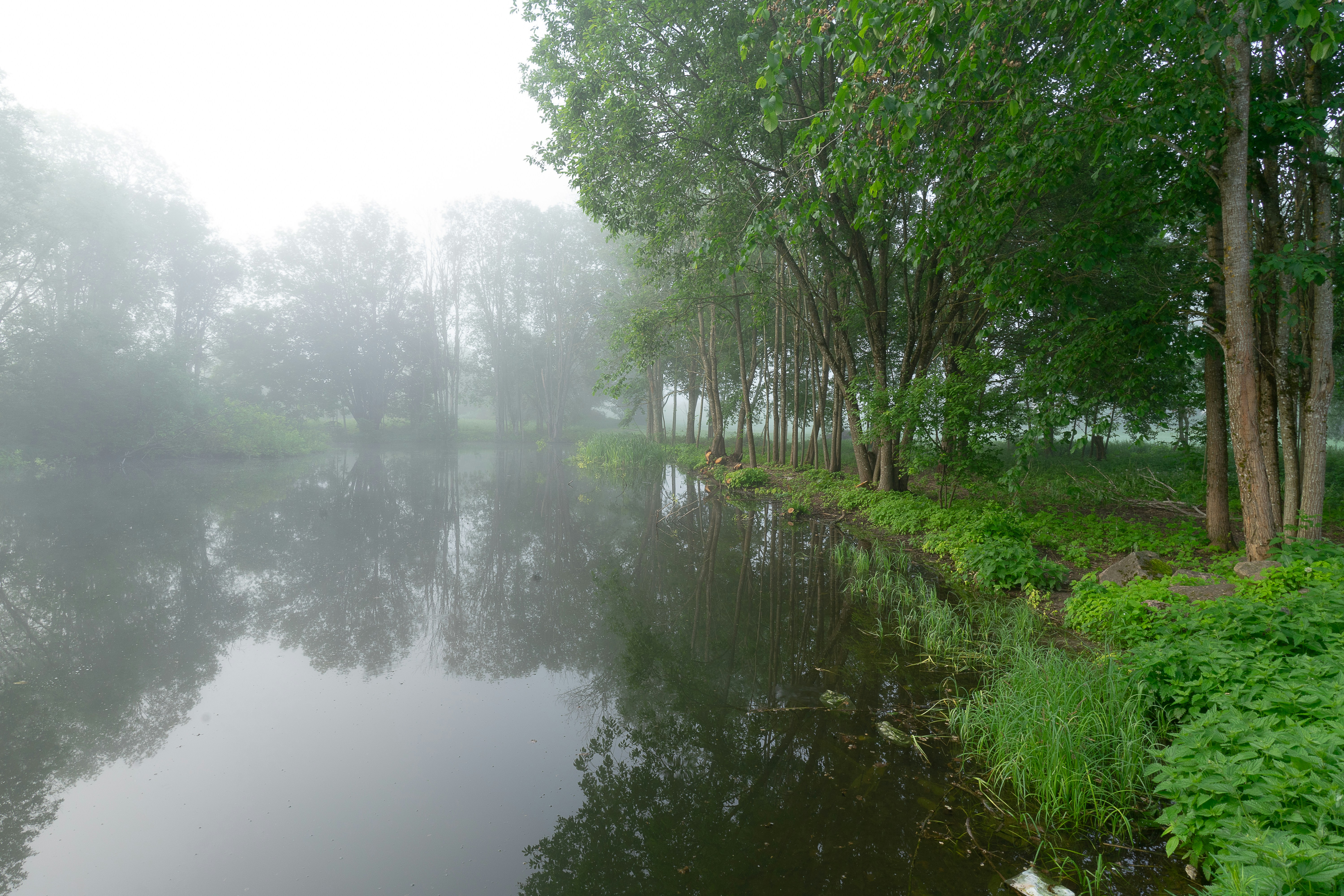 Photo by andruslukas