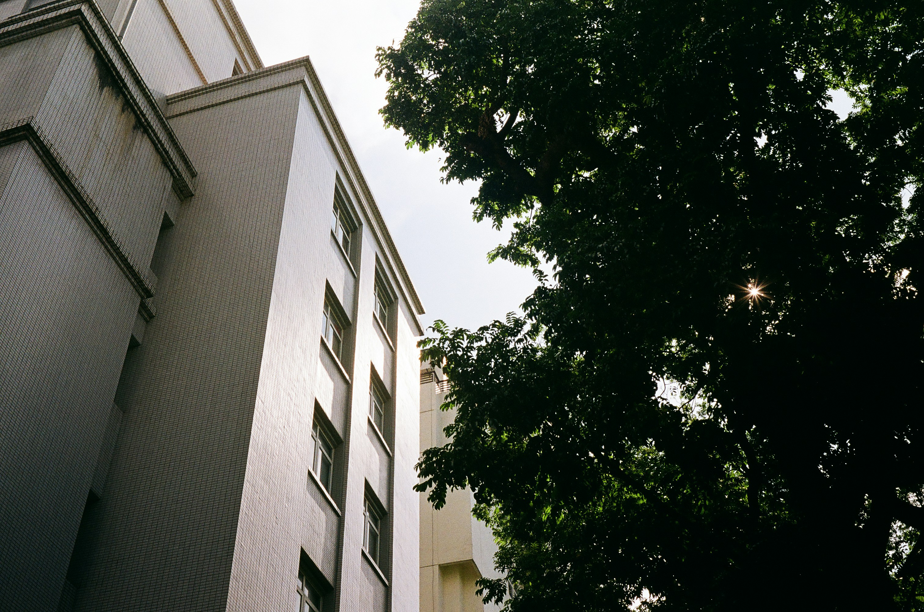 Photo by donguyenkhanhs