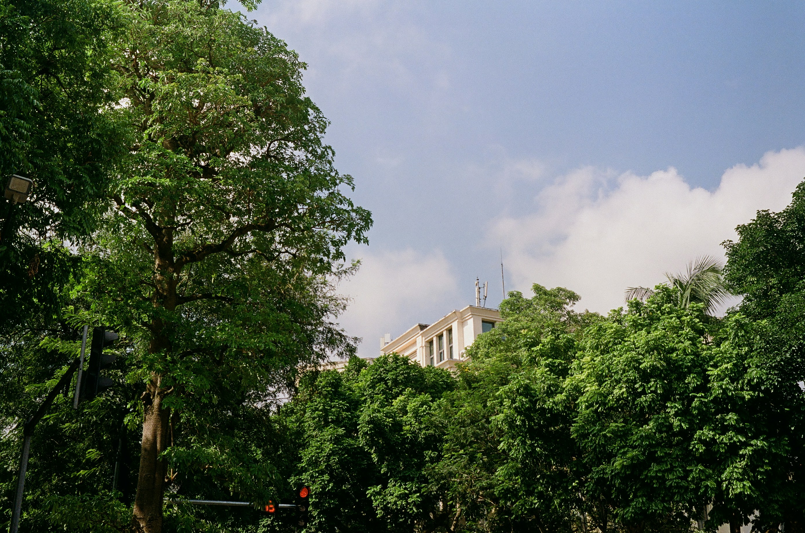 Photo by donguyenkhanhs