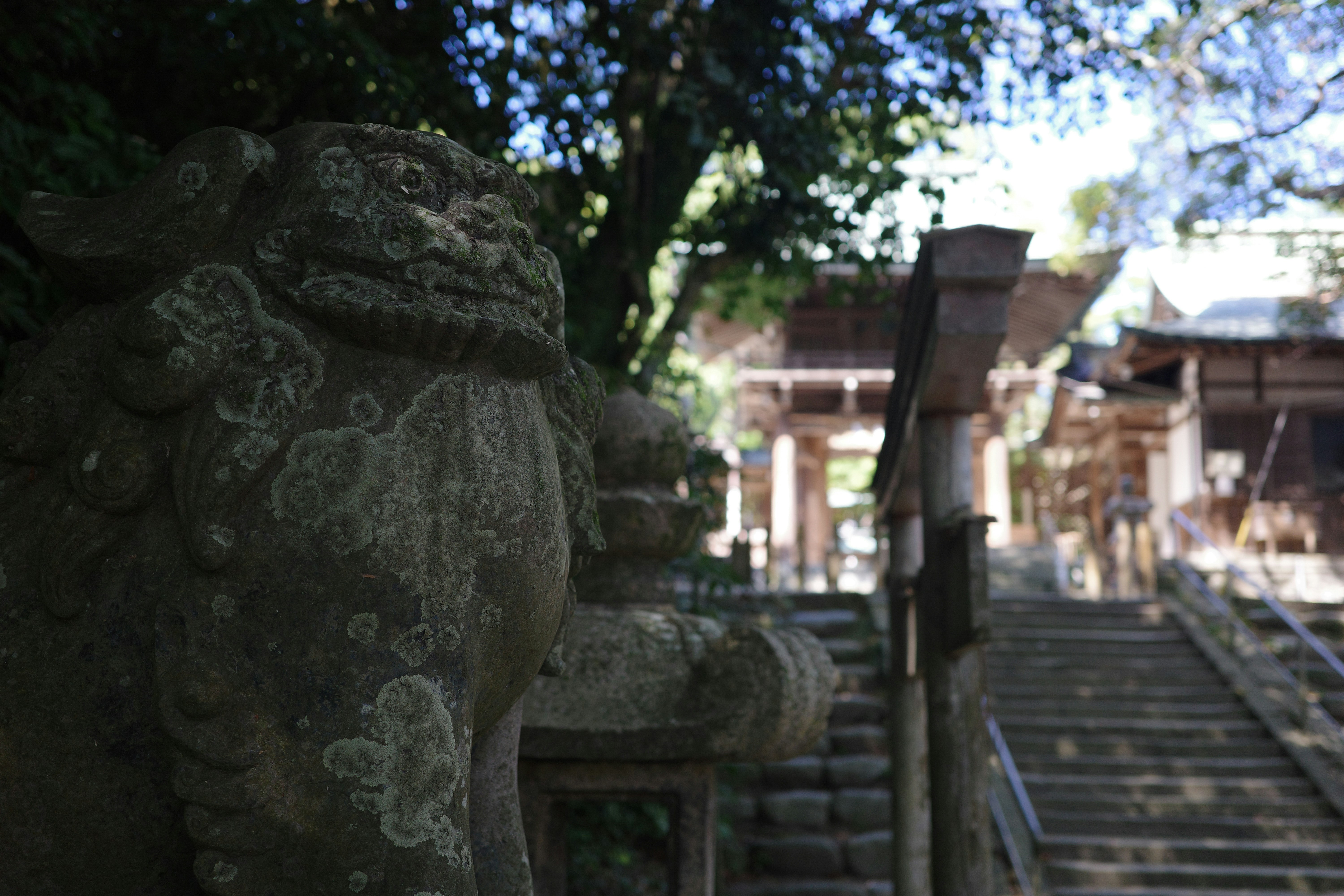 Photo by maru_092024