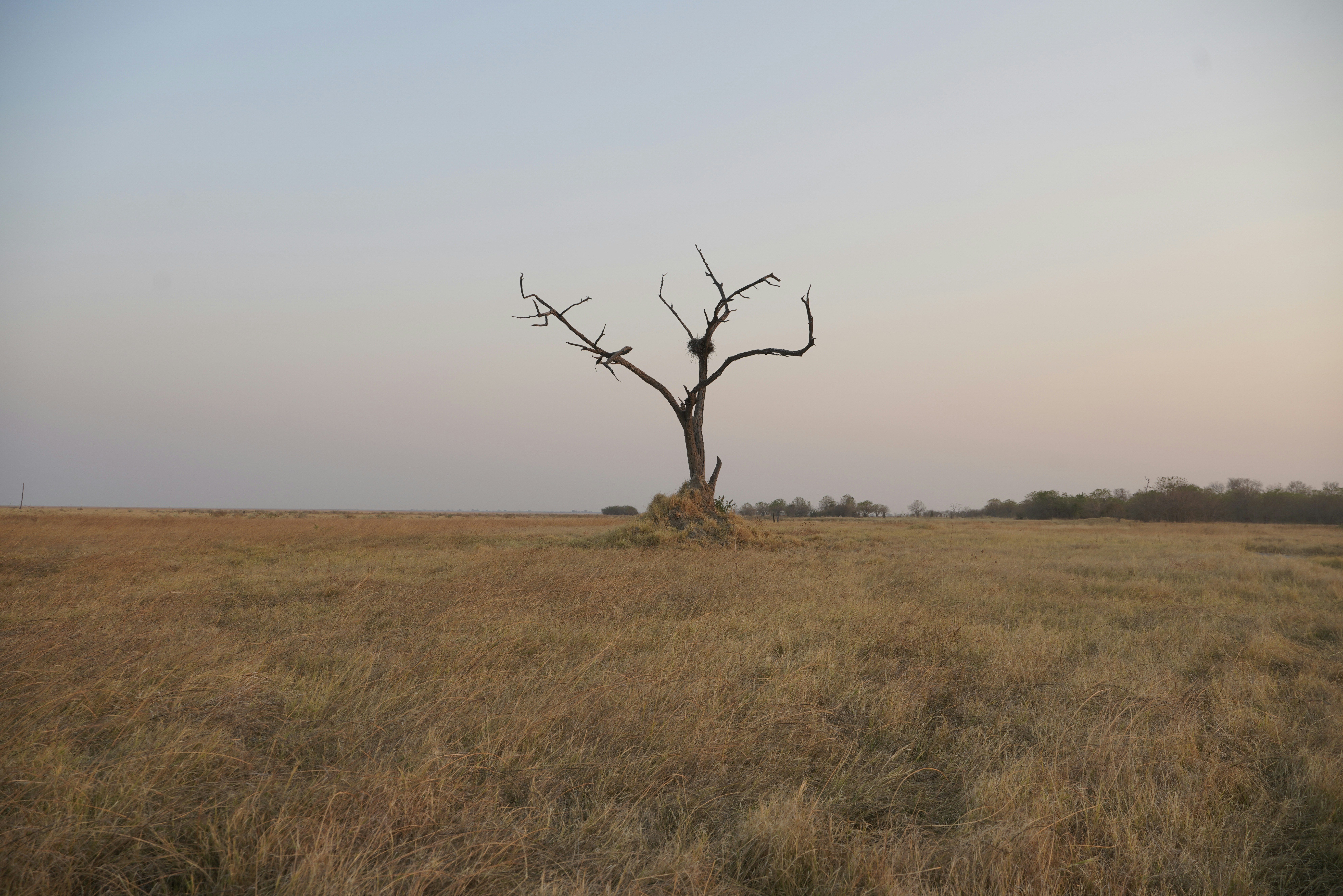 Maun – Safety, Health & Local Etiquette