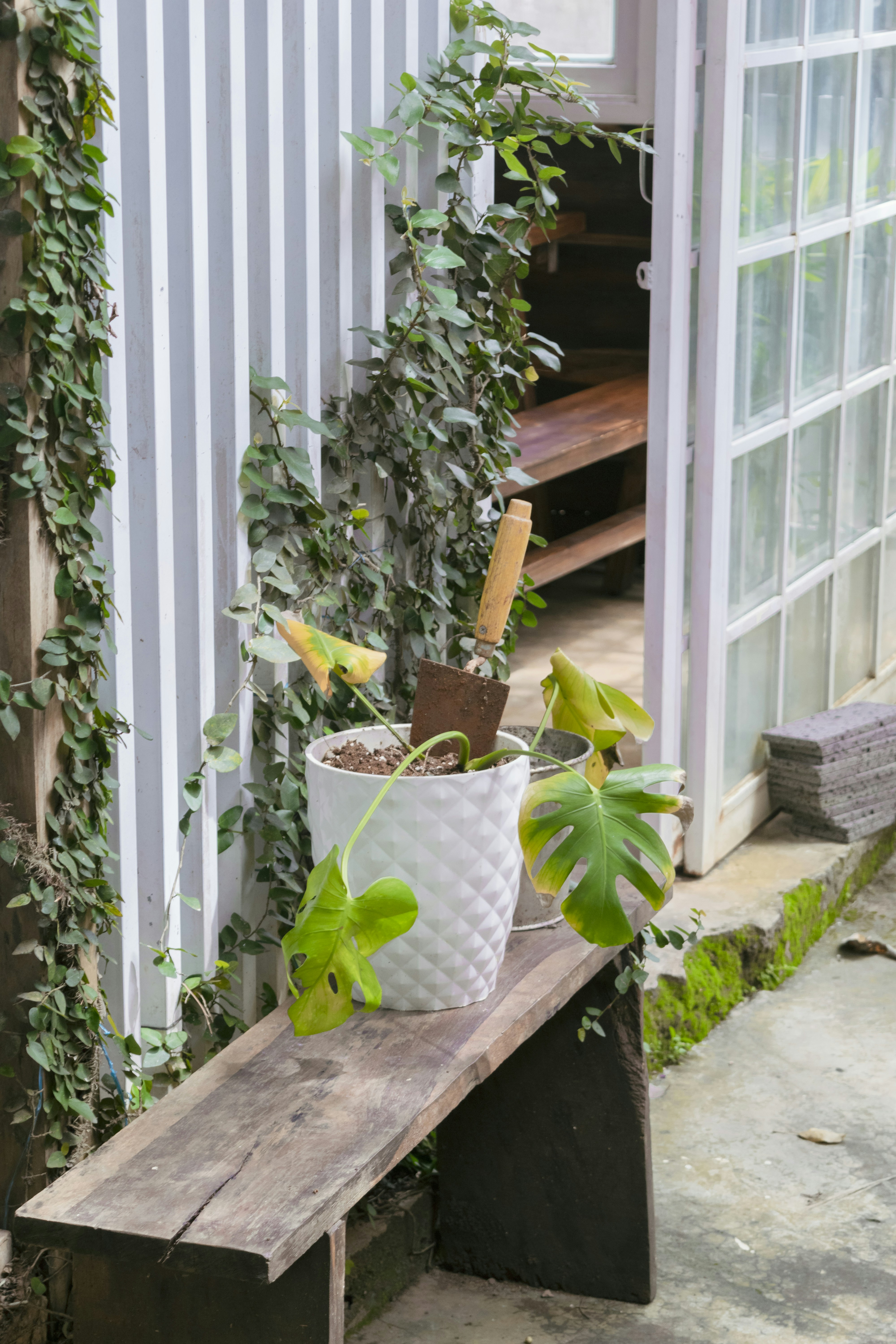 Photo by hoanganh_dreamplanie