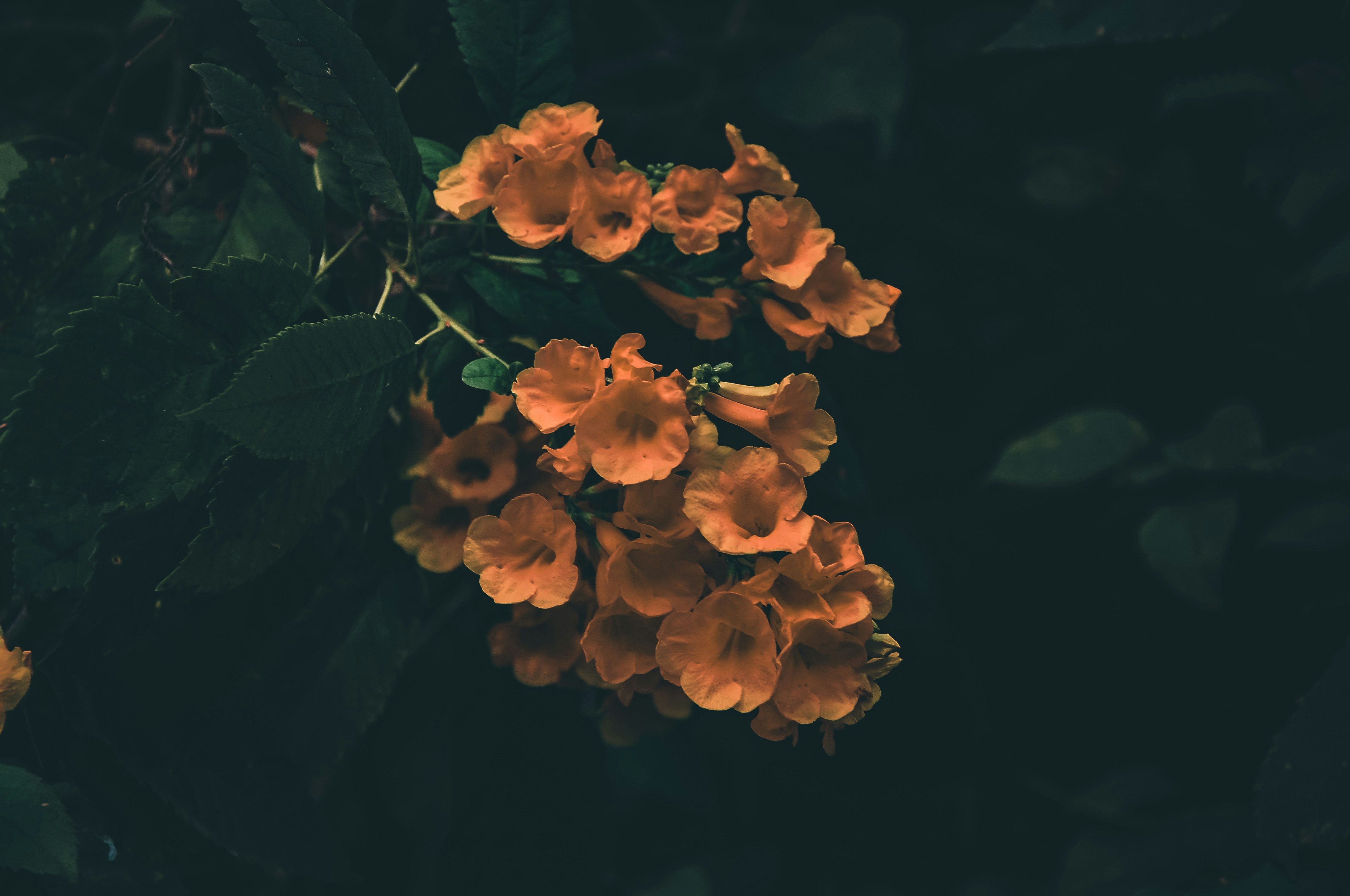 Photo by siva_photography