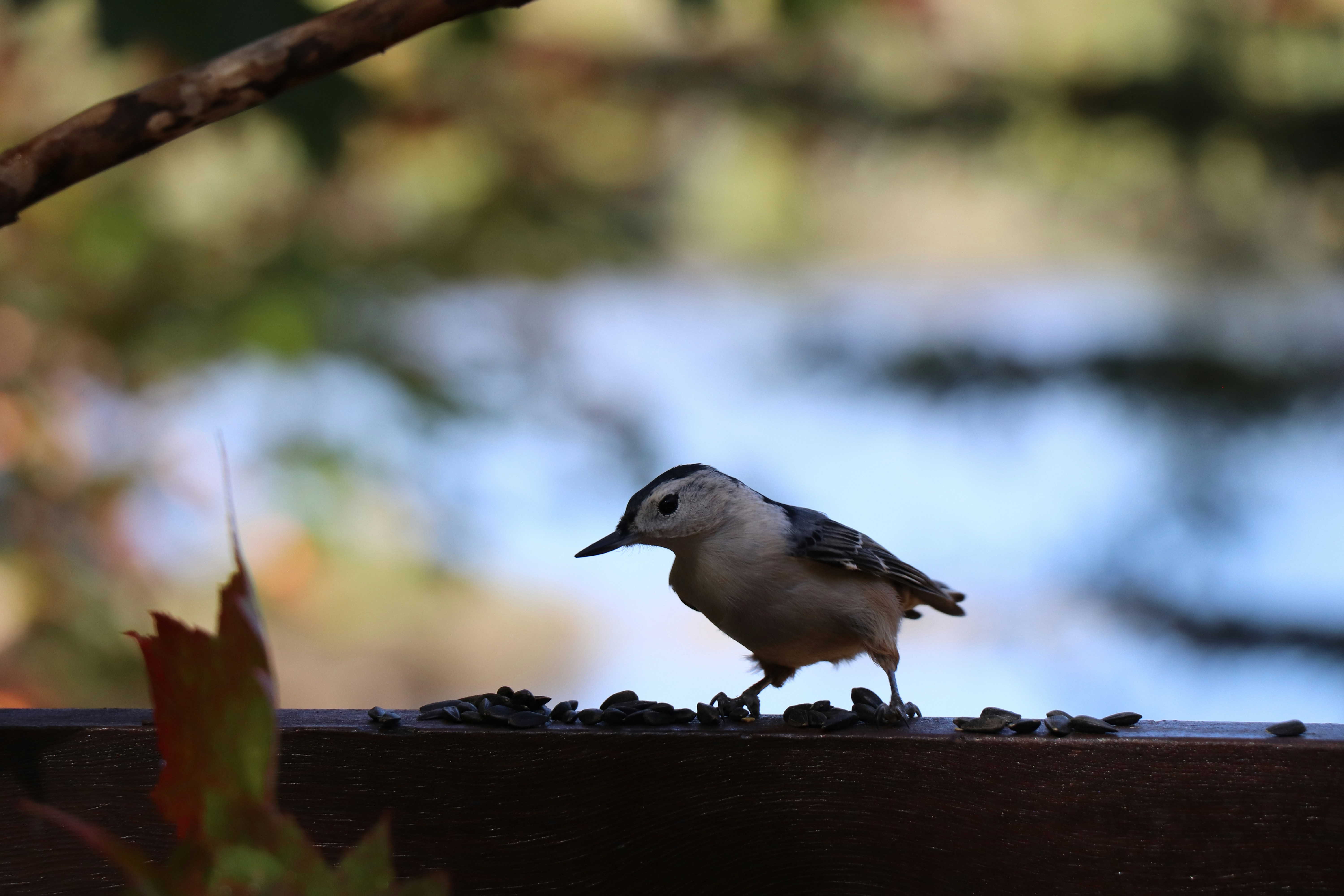 Photo by sandimagerart