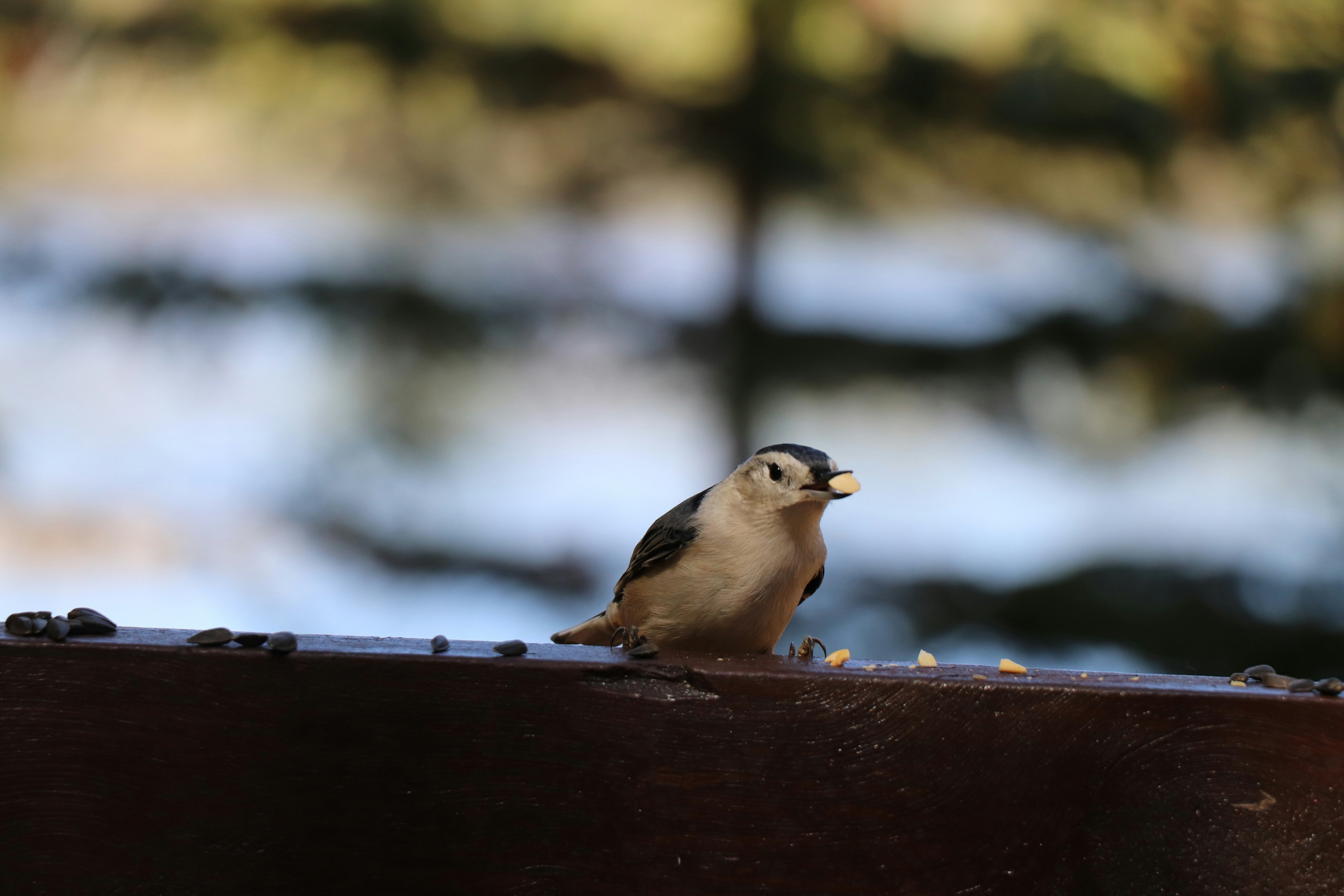 Photo by sandimagerart