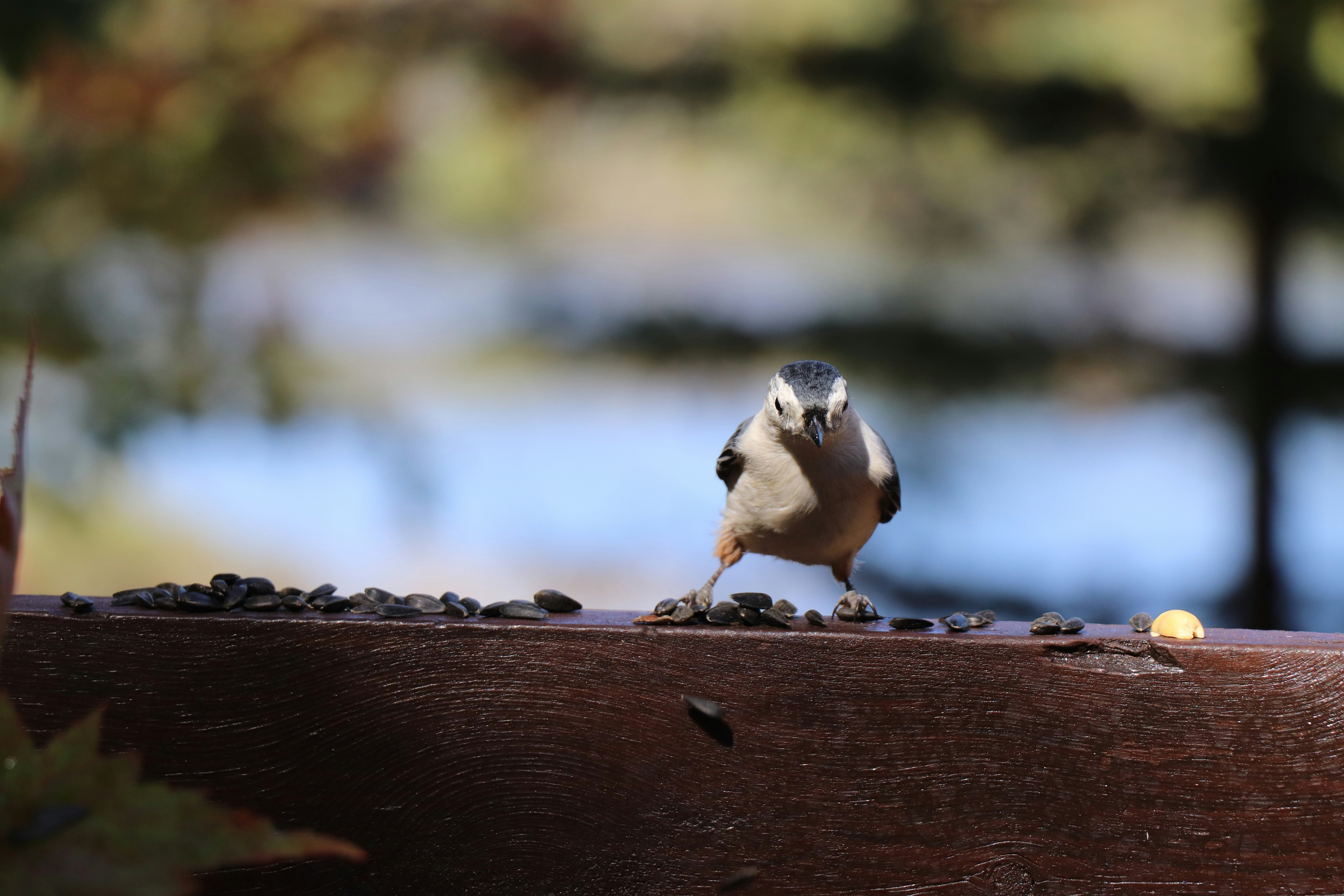 Photo by sandimagerart