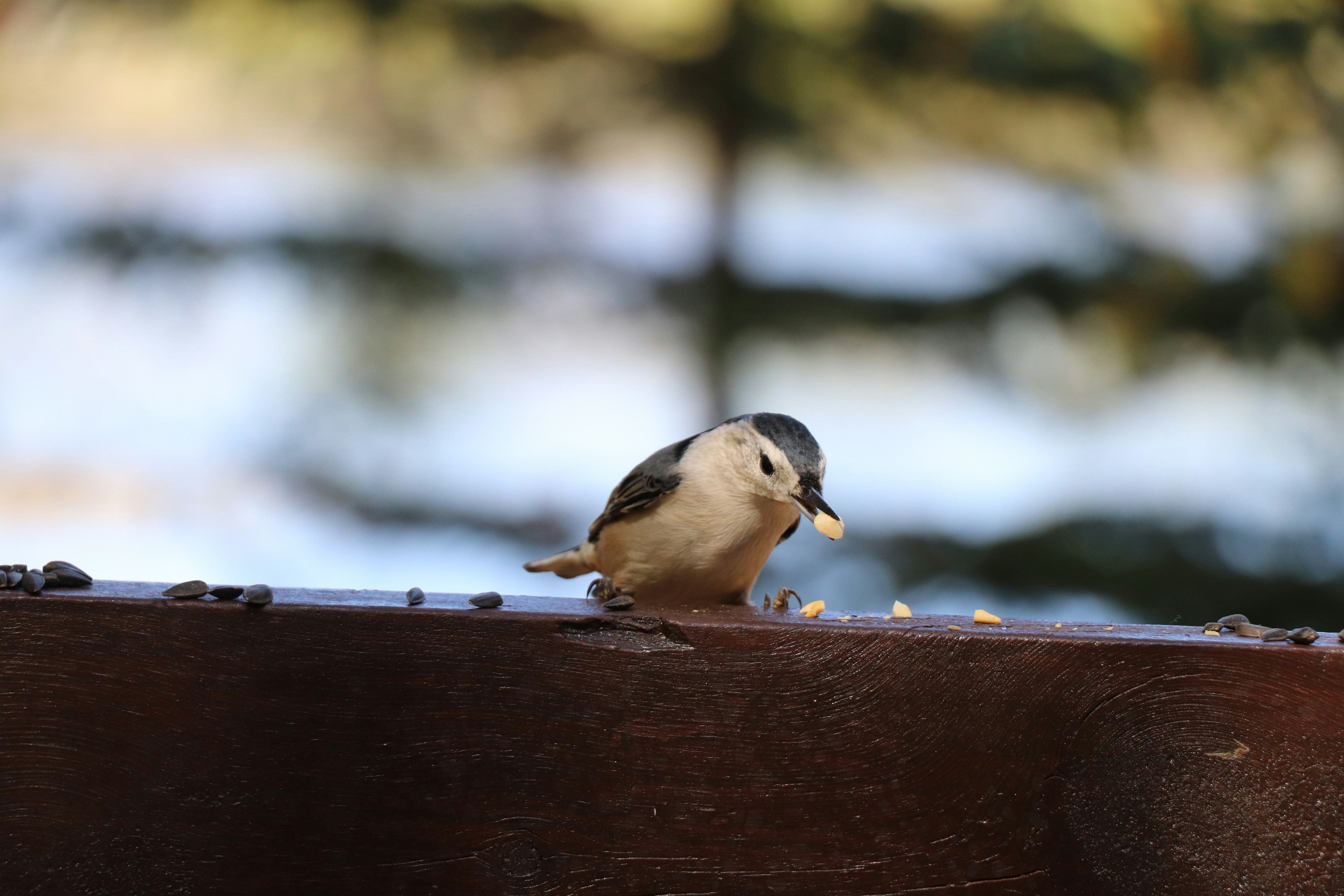 Photo by sandimagerart