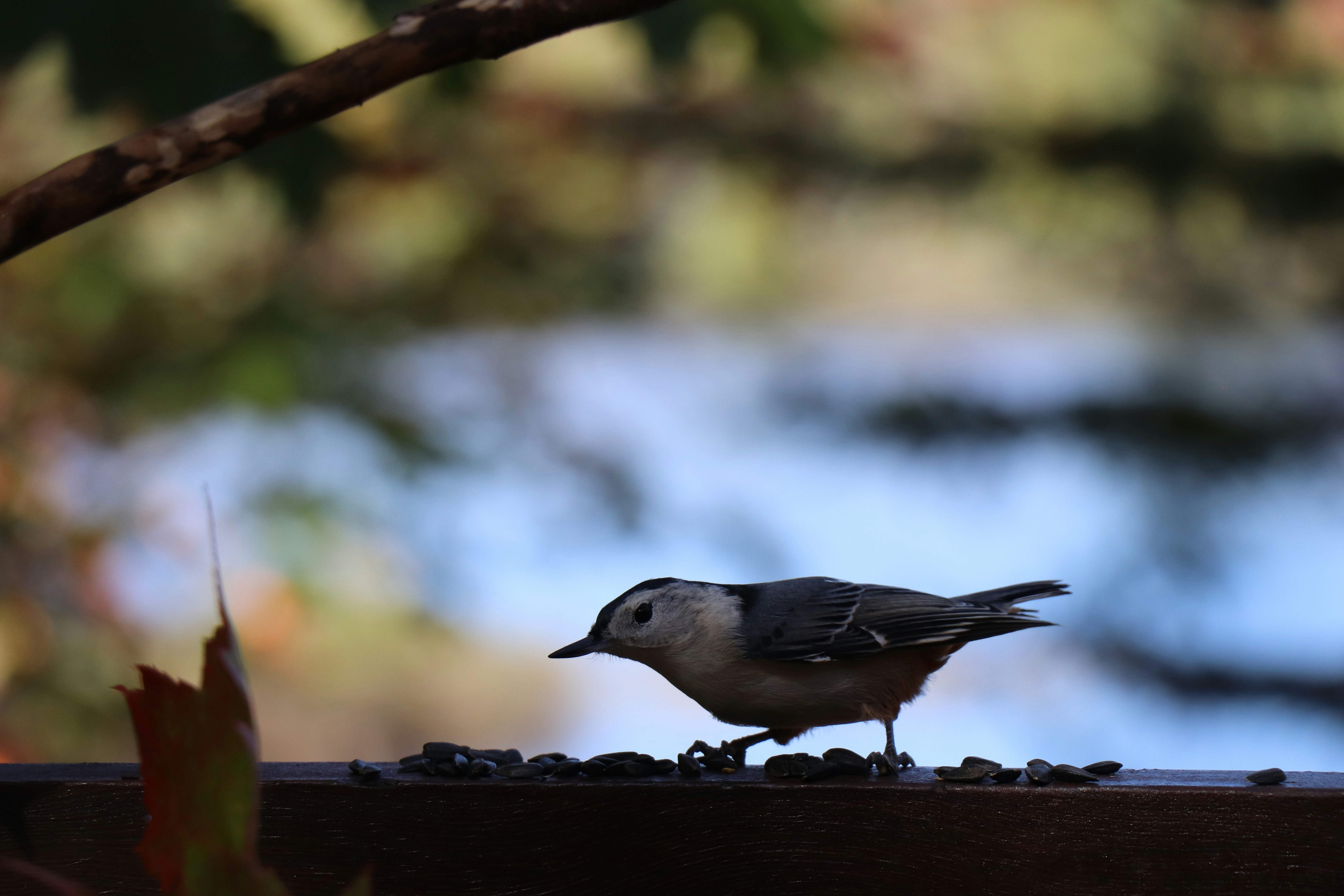 Photo by sandimagerart