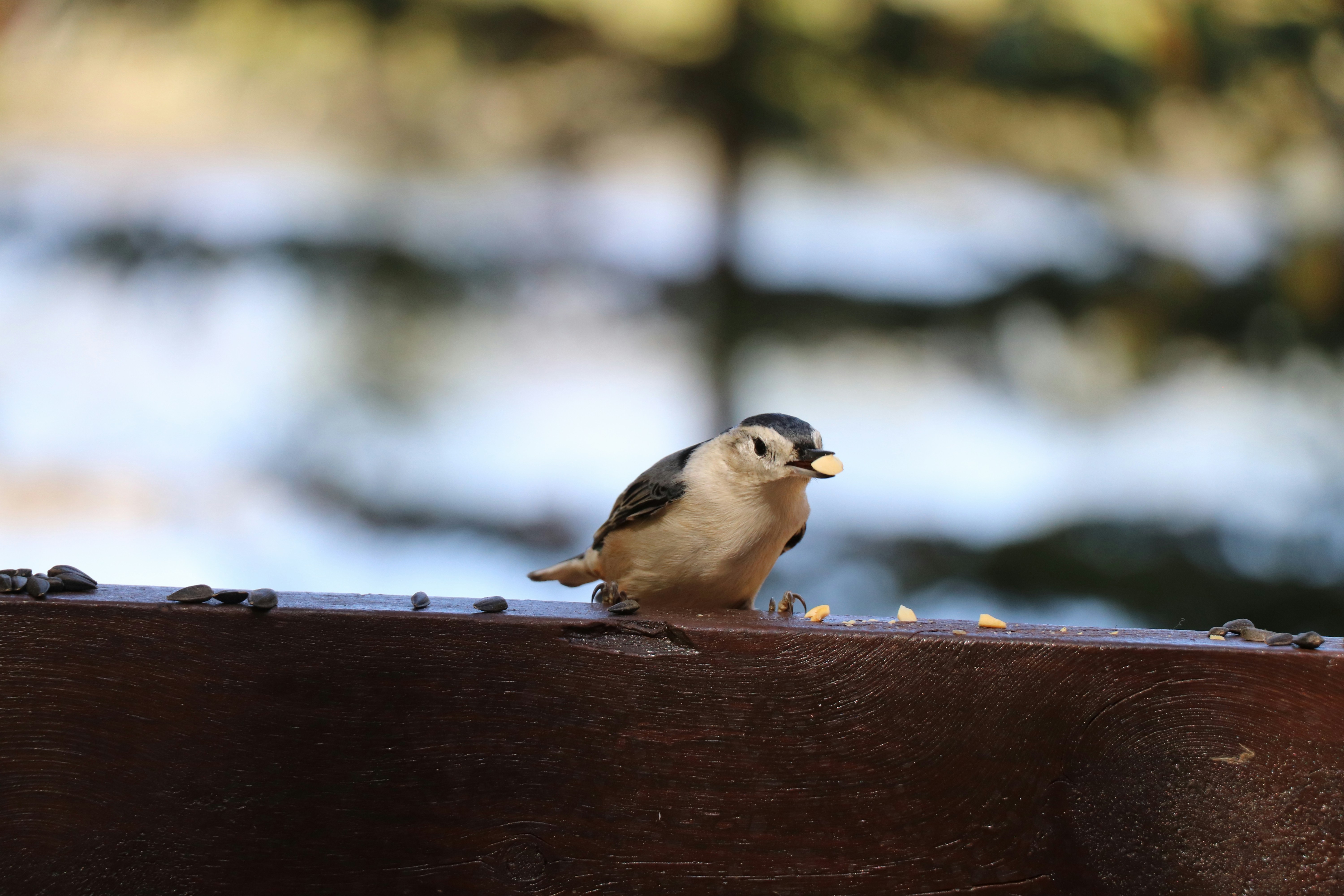 Photo by sandimagerart