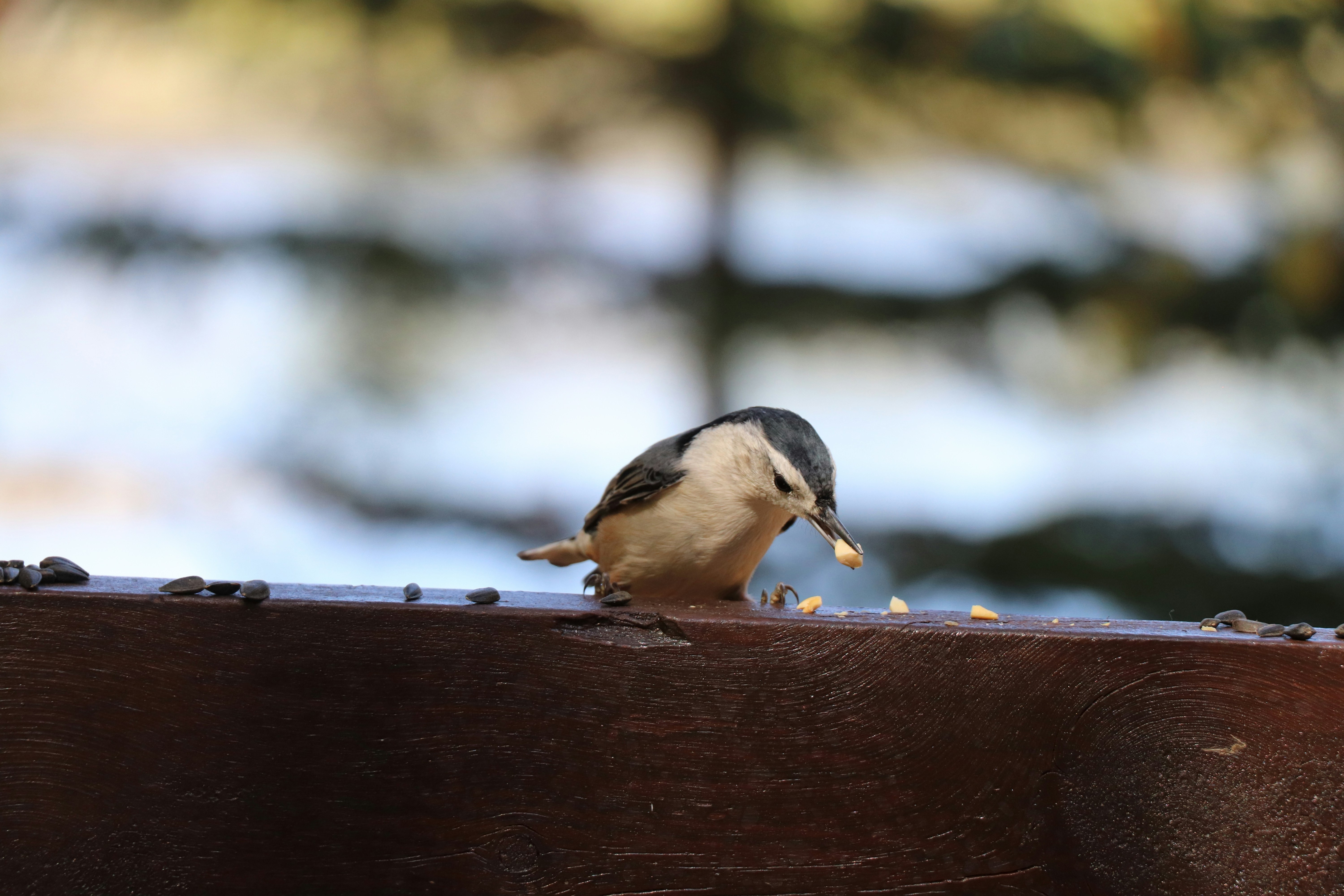 Photo by sandimagerart