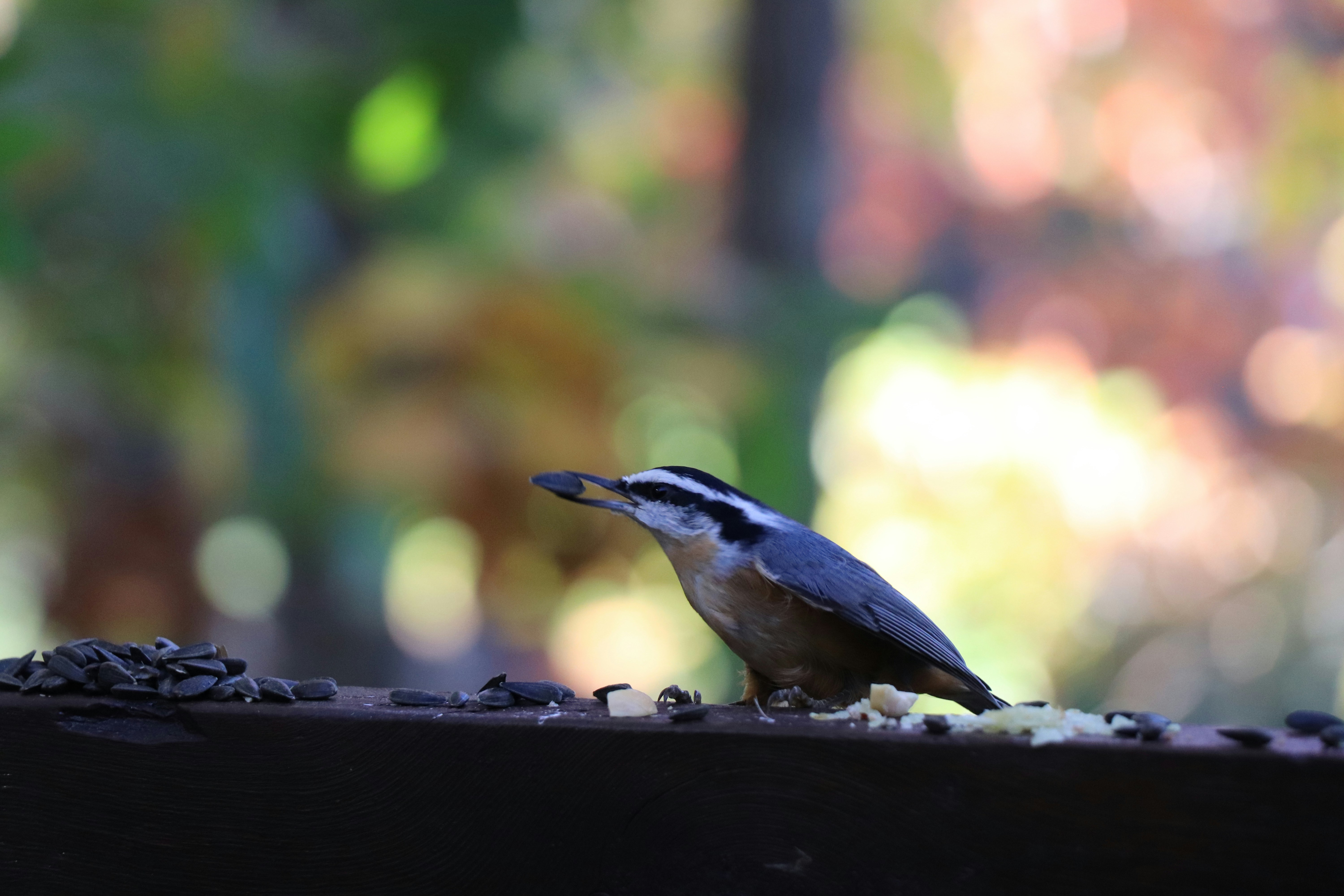 Photo by sandimagerart