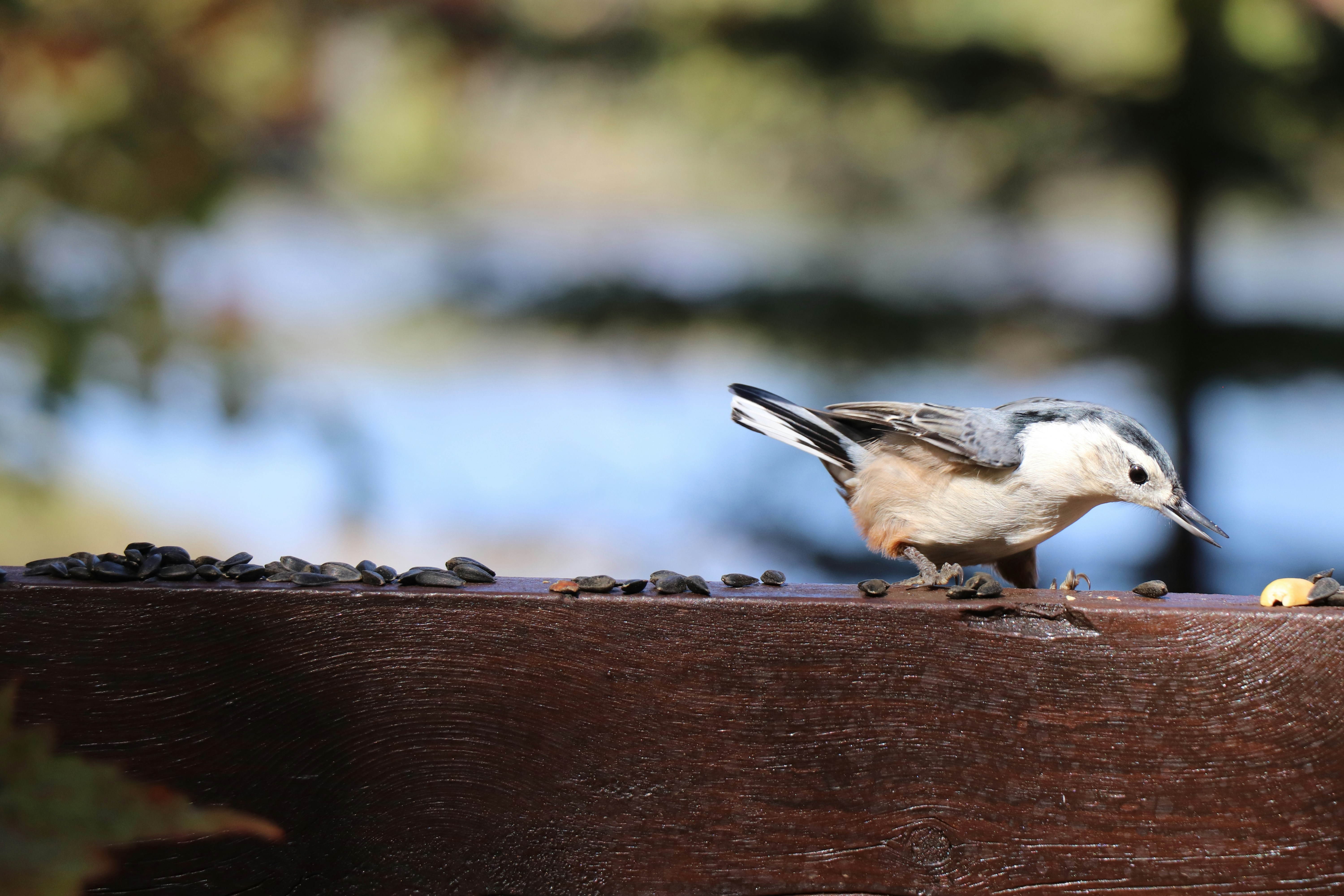 Photo by sandimagerart