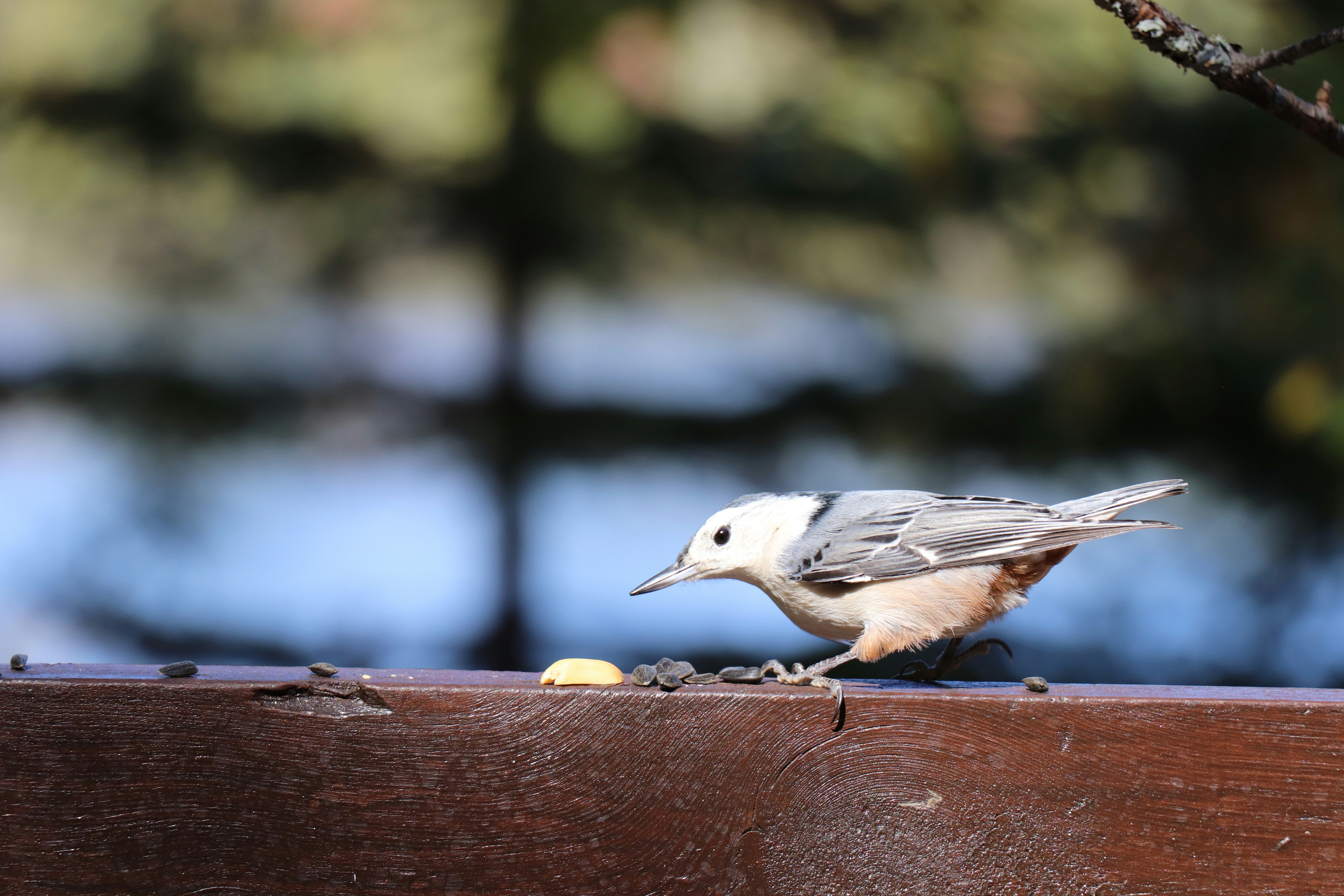 Photo by sandimagerart