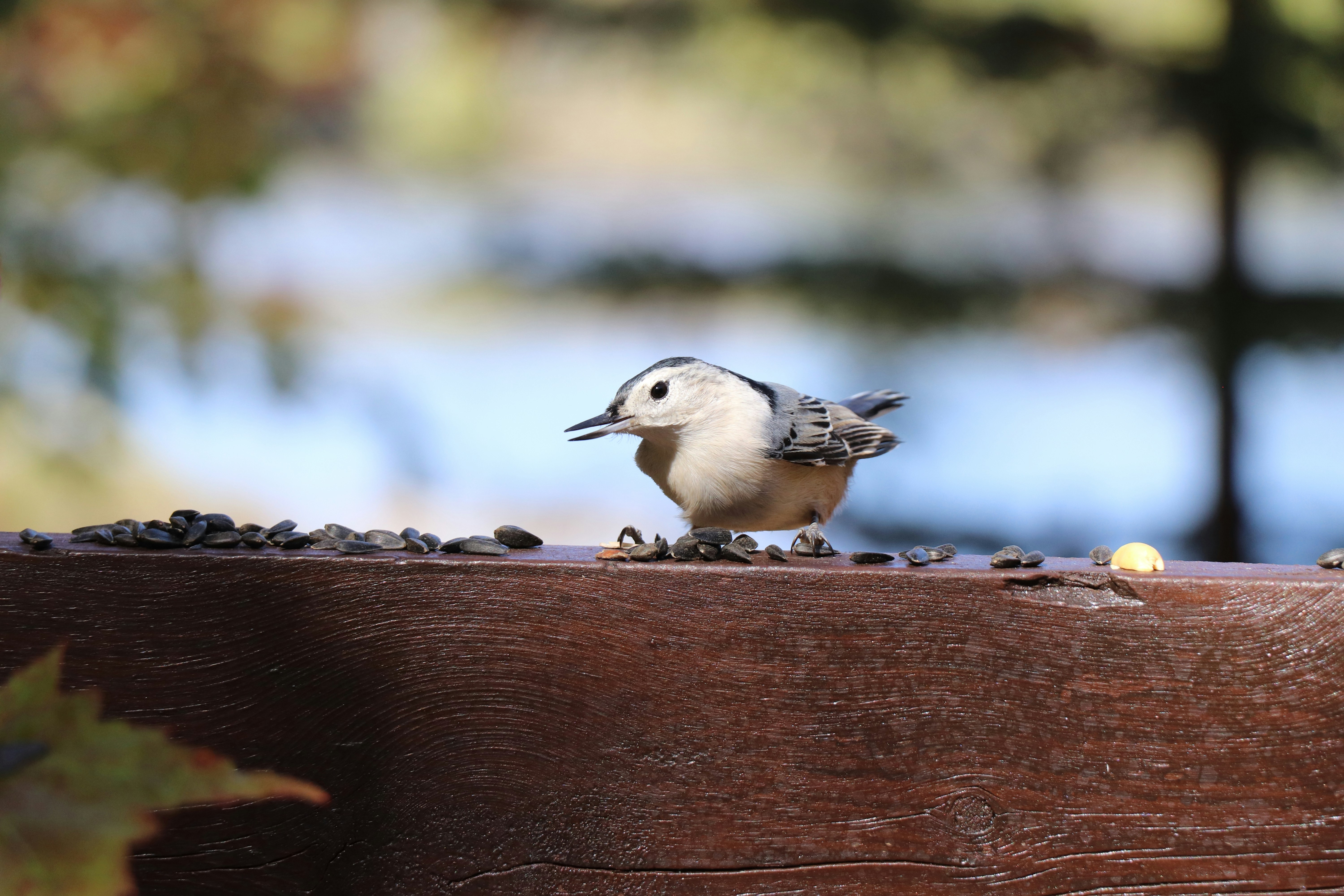 Photo by sandimagerart