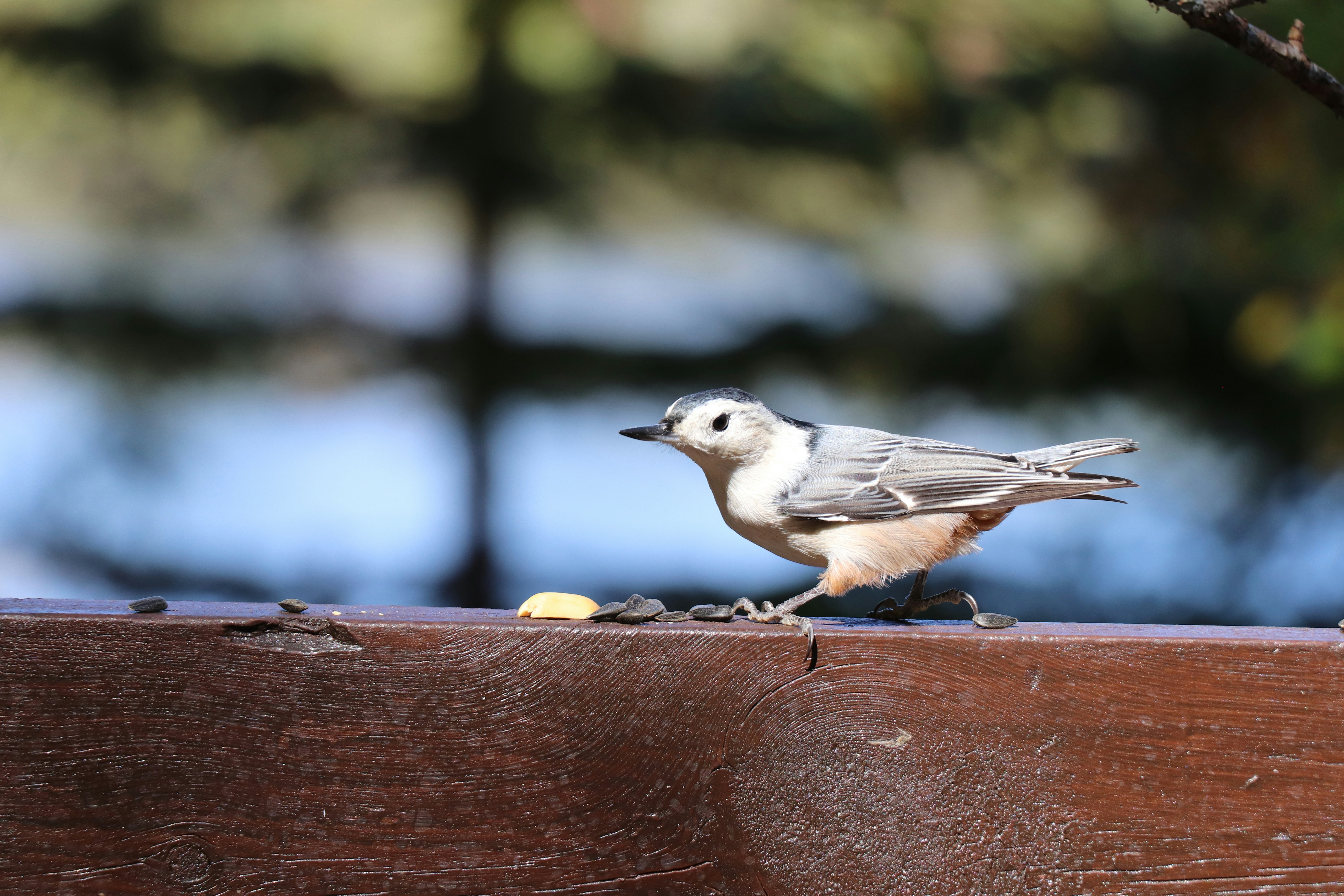 Photo by sandimagerart