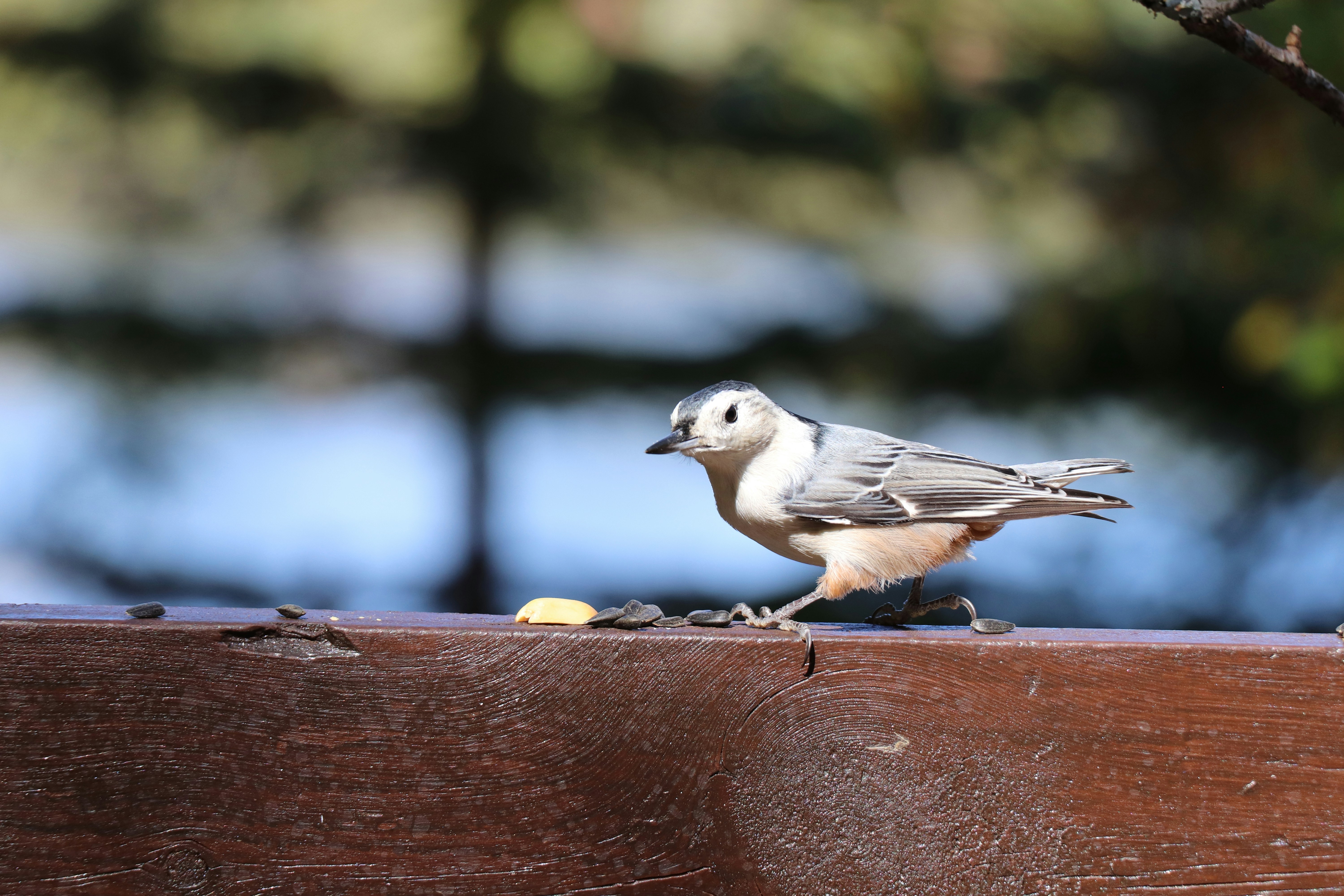 Photo by sandimagerart