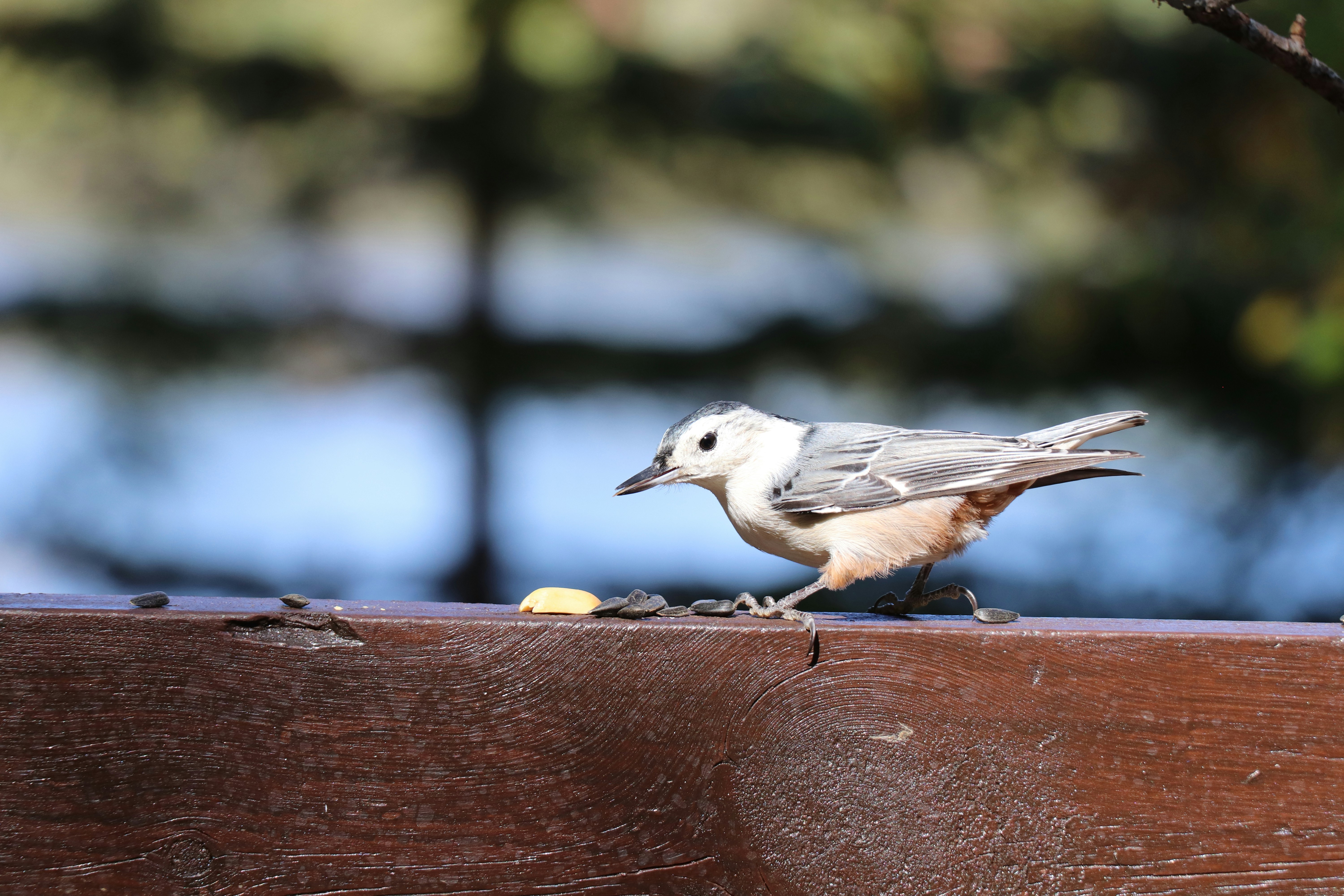 Photo by sandimagerart