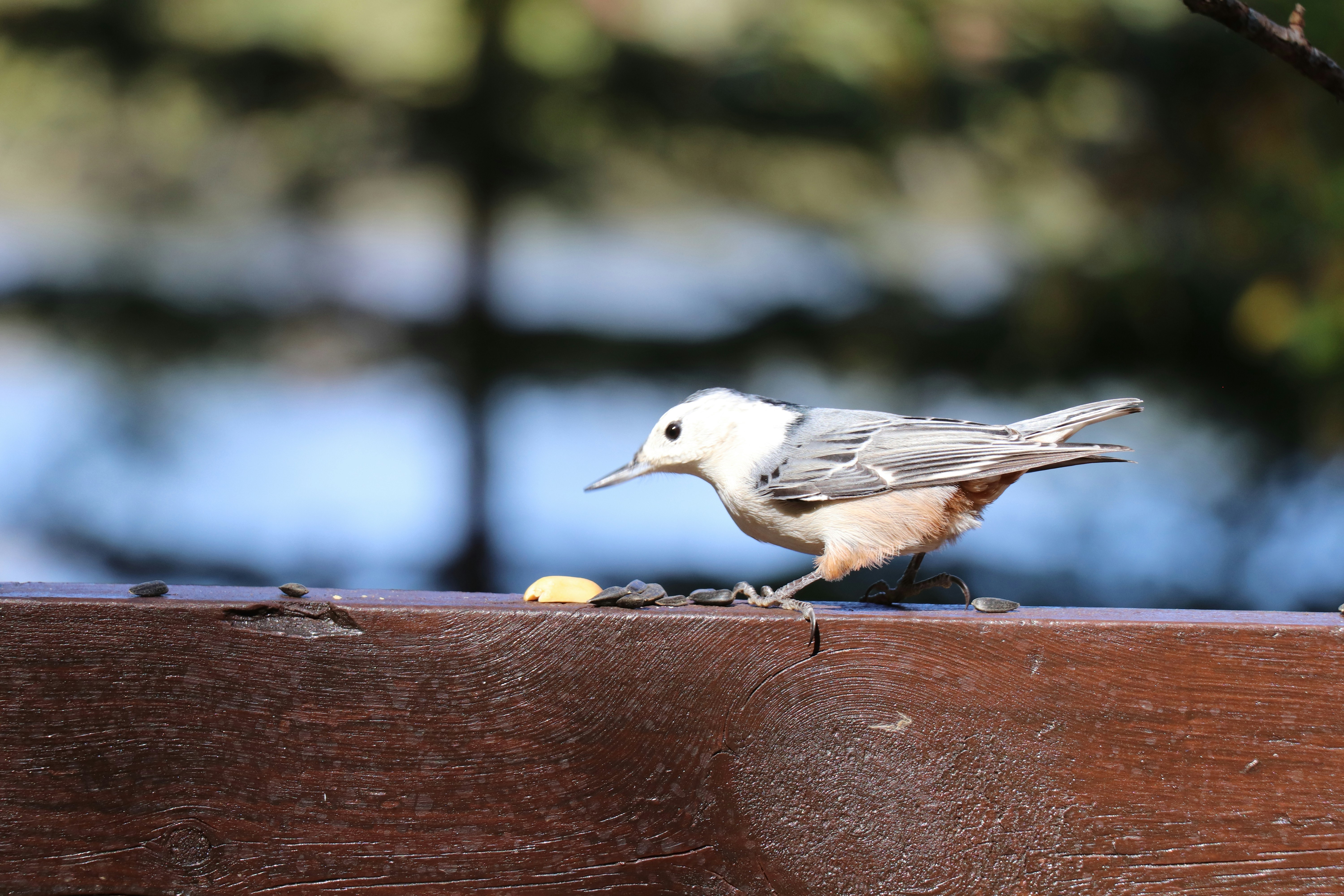 Photo by sandimagerart