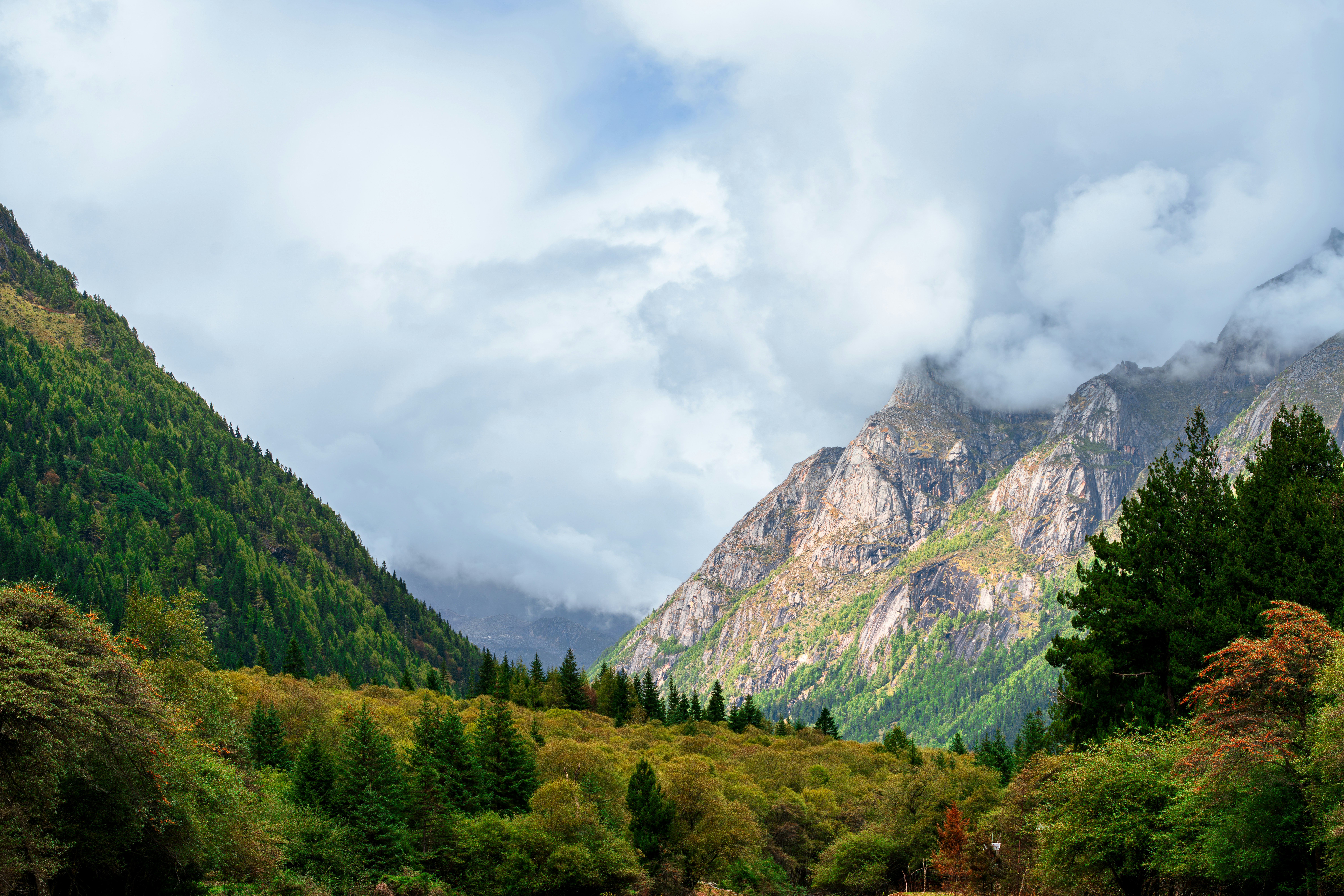 Photo by hattrick1996