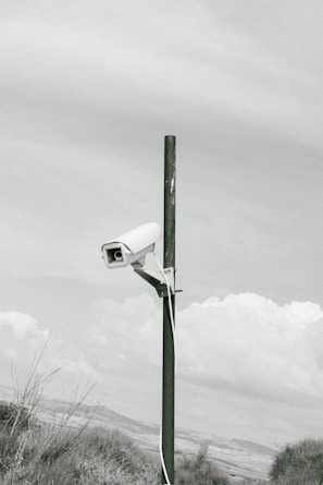 A black and white photo of a camera on a pole