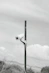 A black and white photo of a camera on a pole