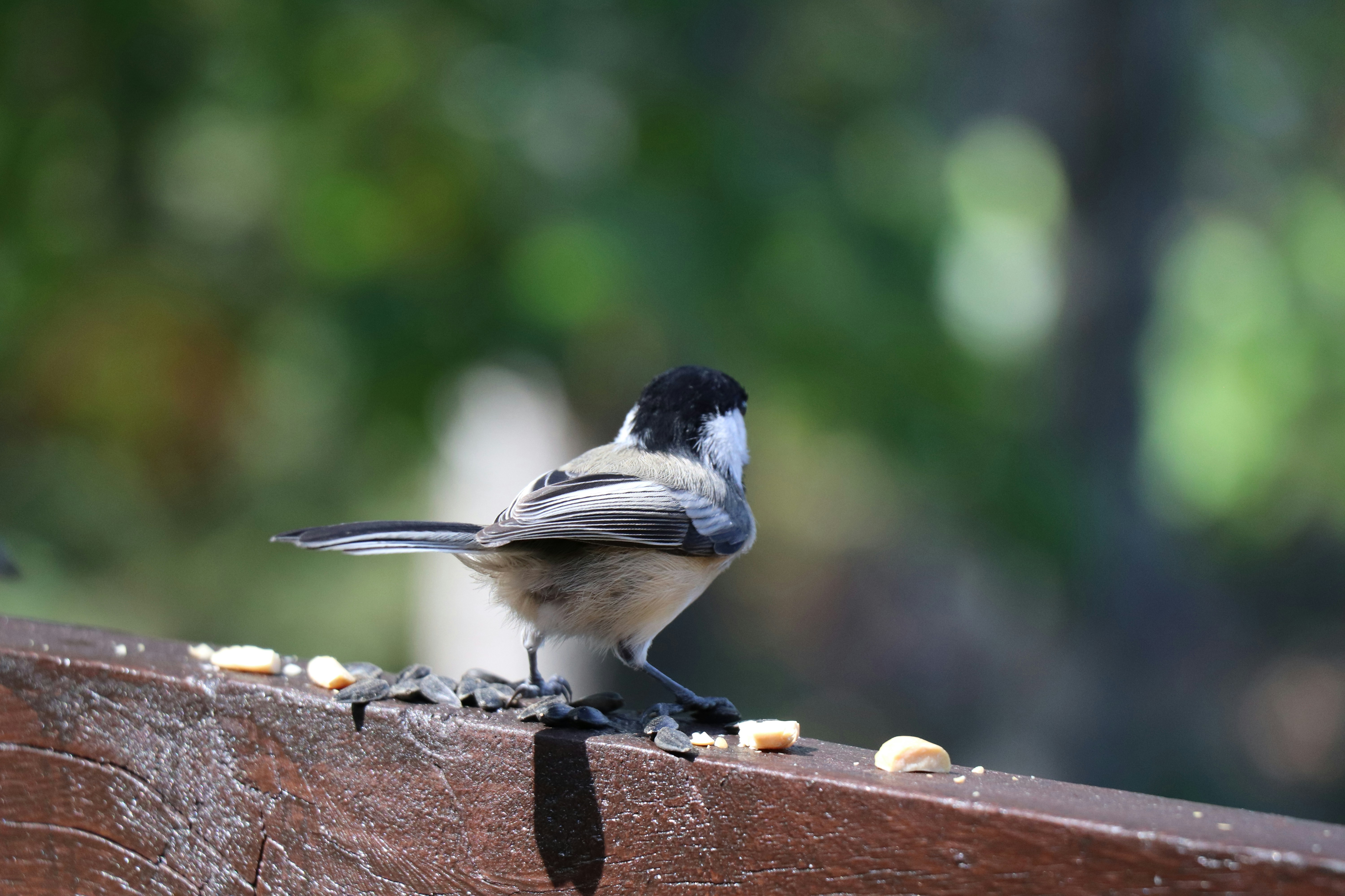 Photo by sandimagerart