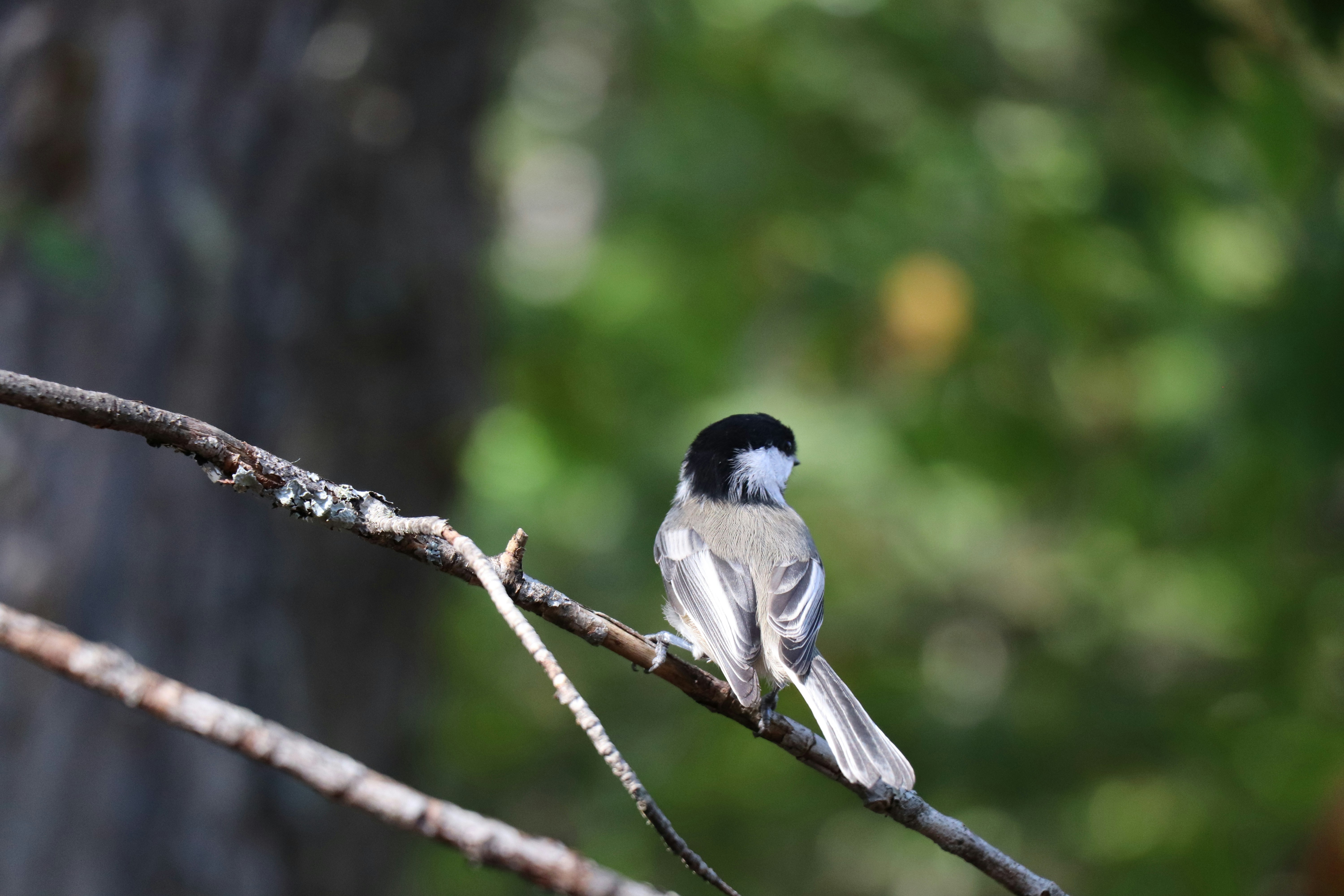 Photo by sandimagerart