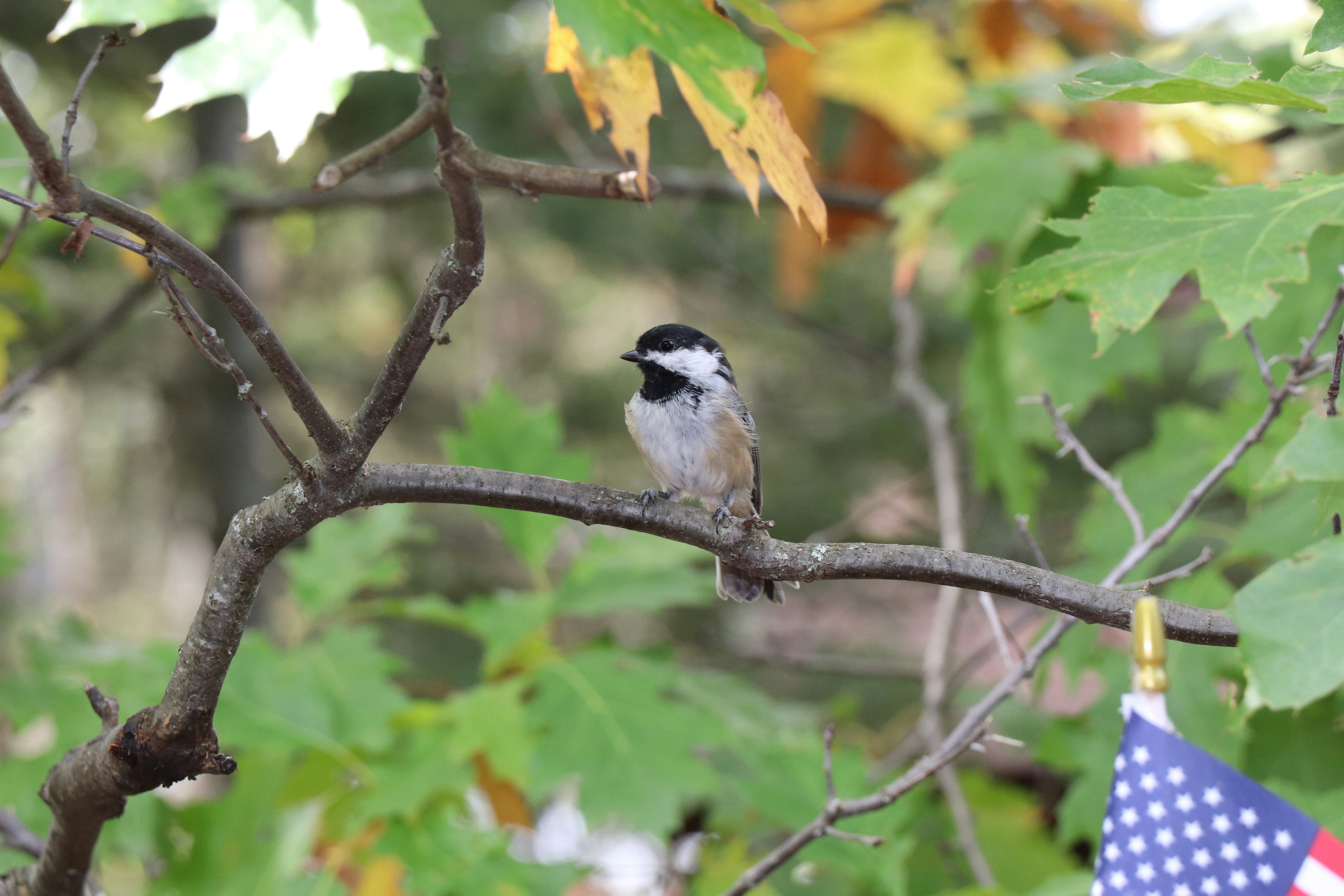 Photo by sandimagerart