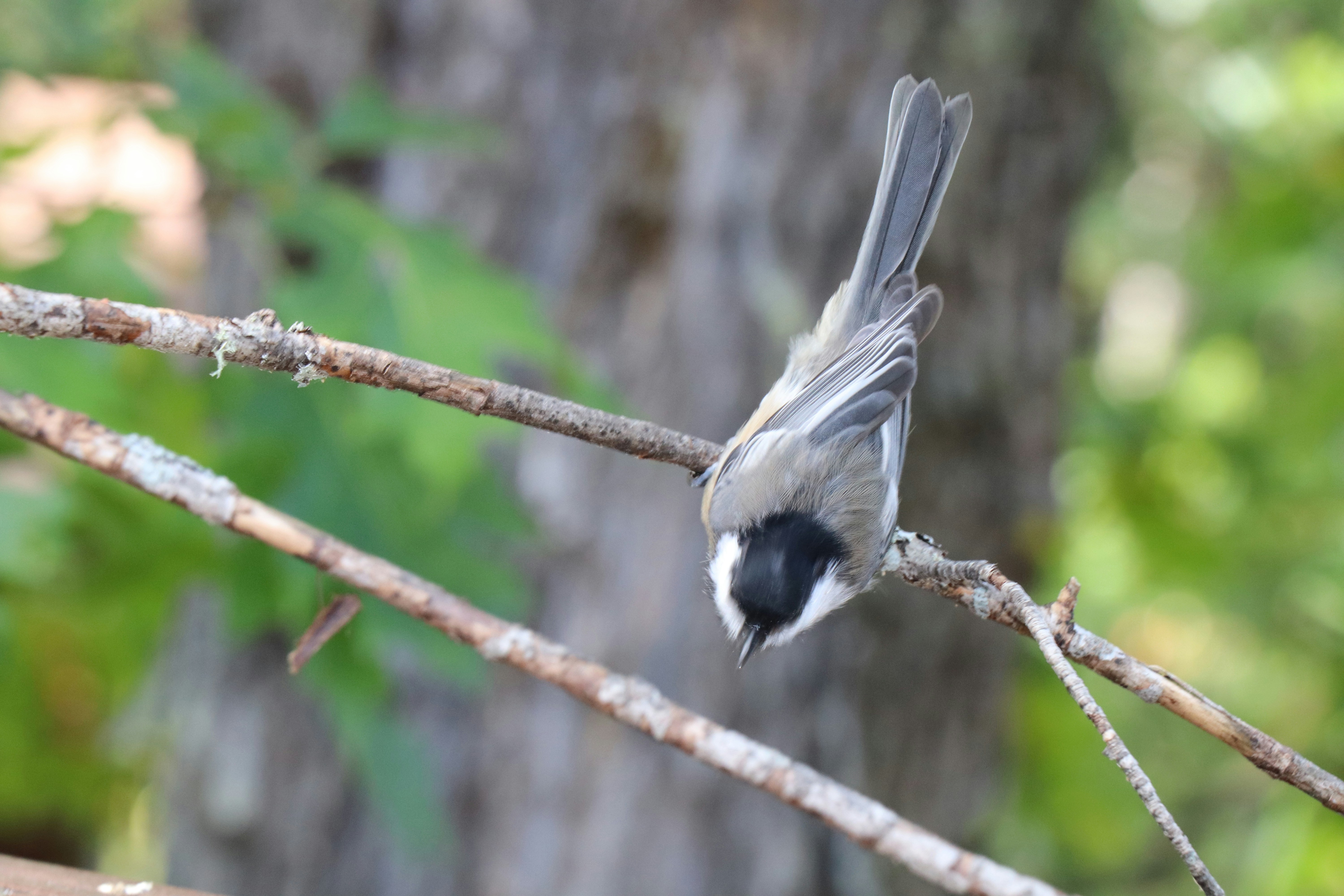 Photo by sandimagerart