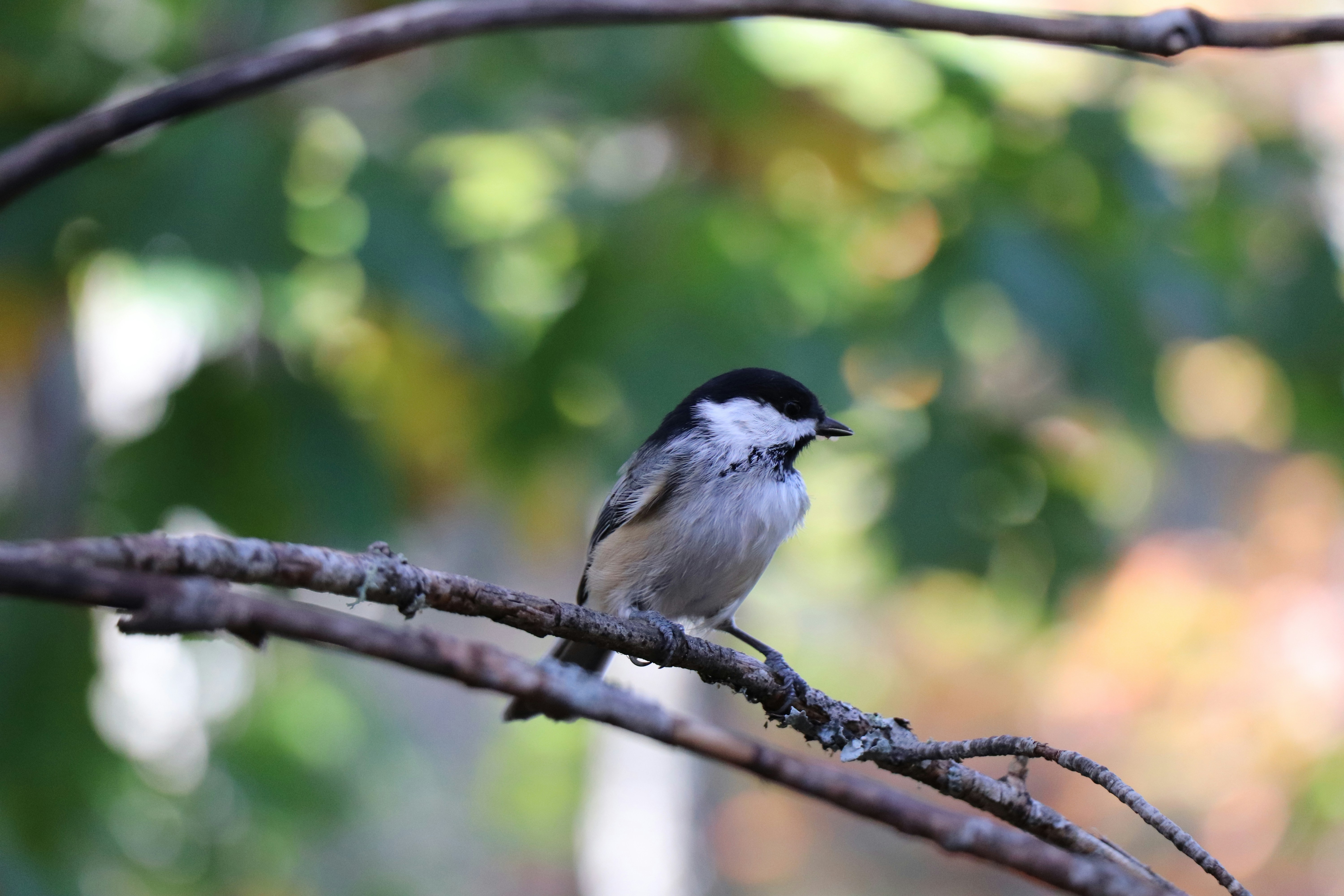 Photo by sandimagerart