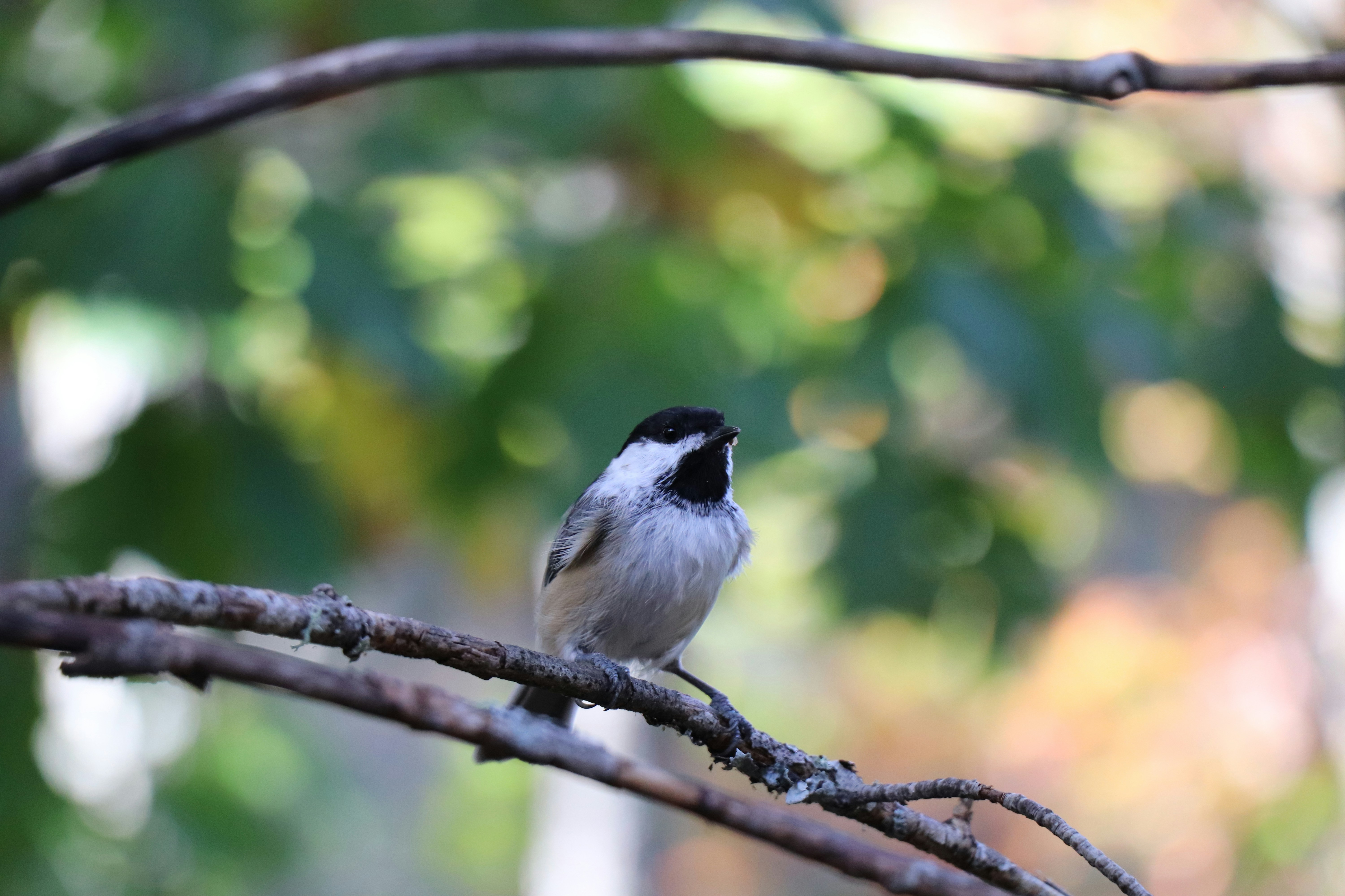 Photo by sandimagerart