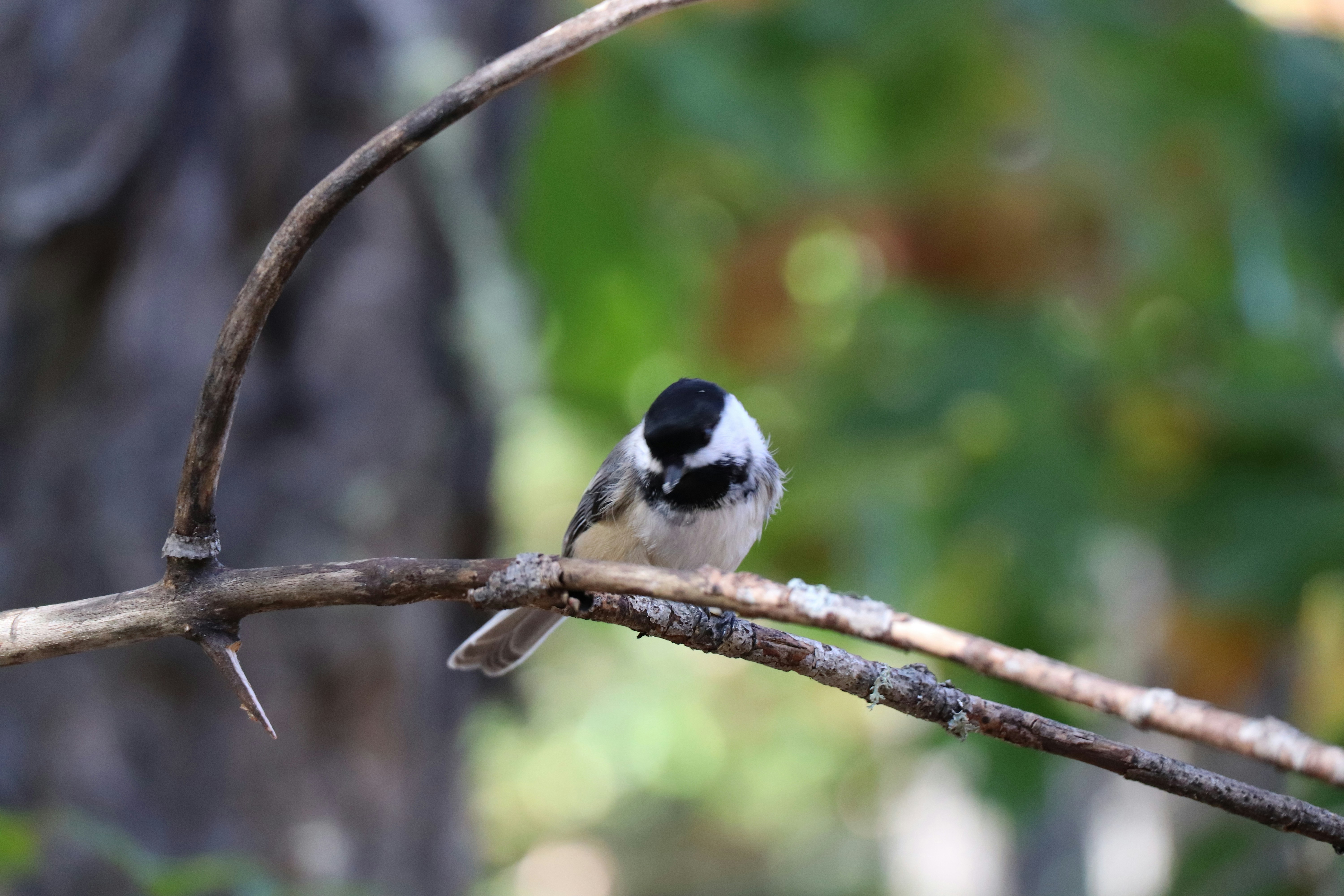 Photo by sandimagerart