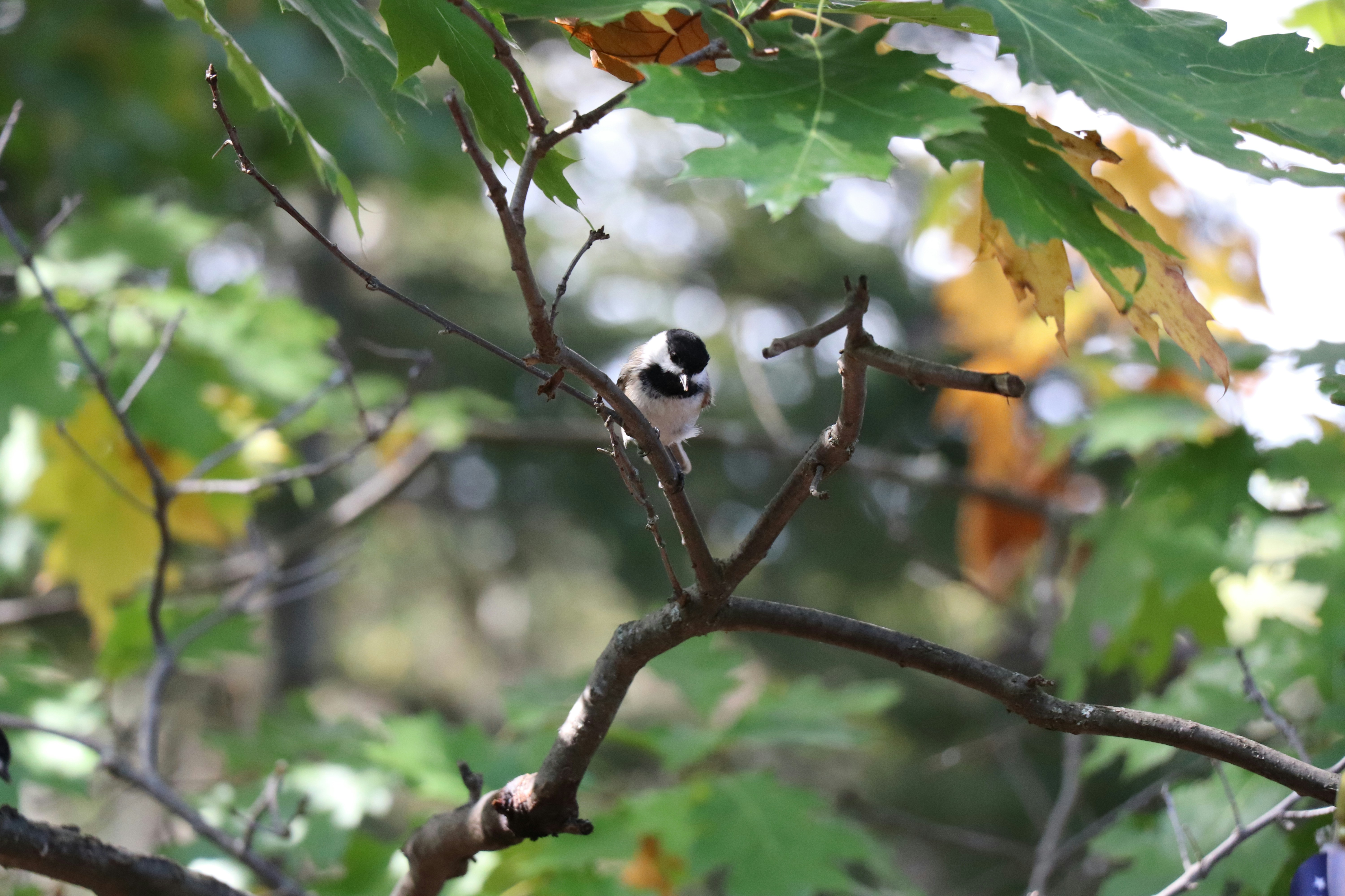 Photo by sandimagerart