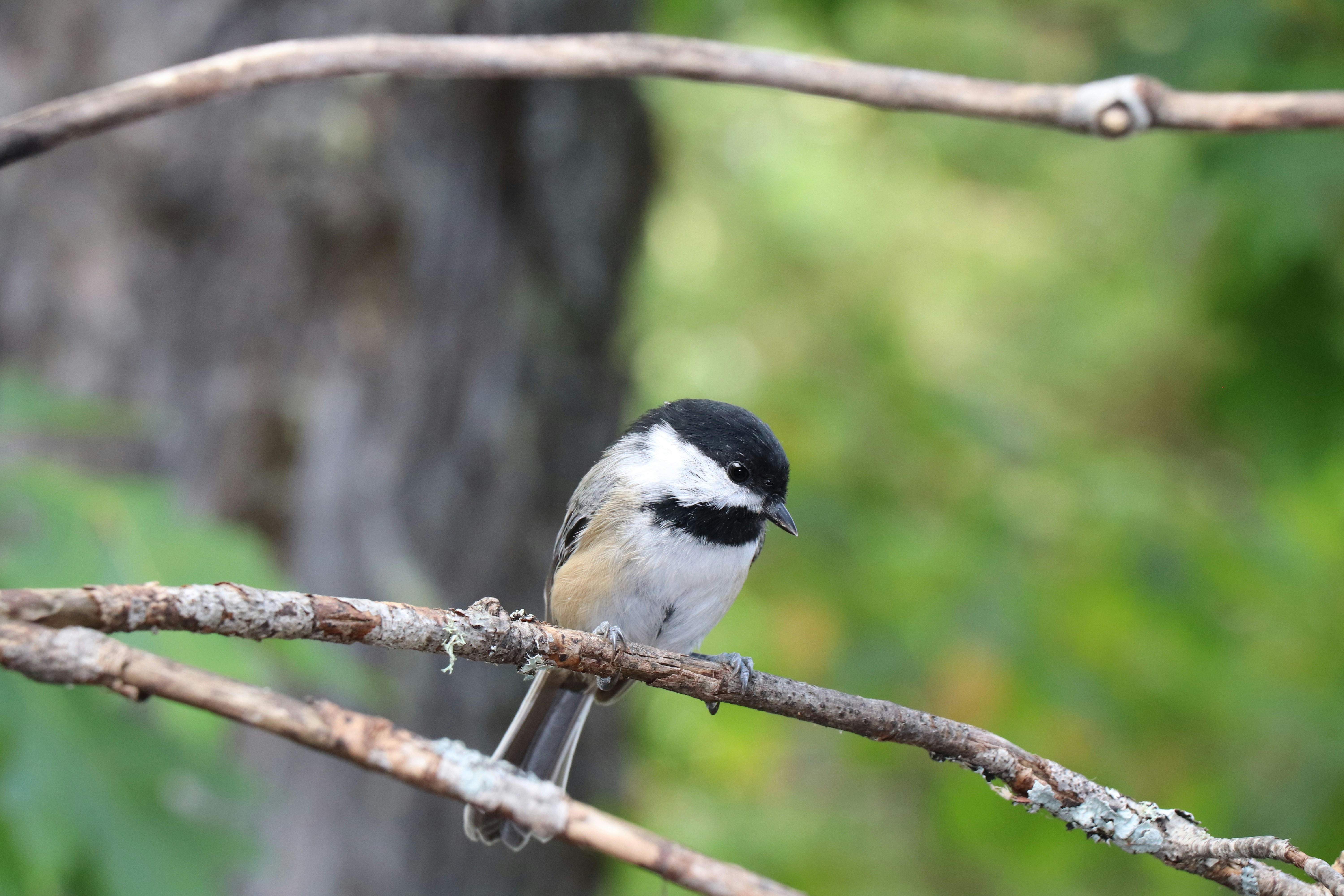 Photo by sandimagerart