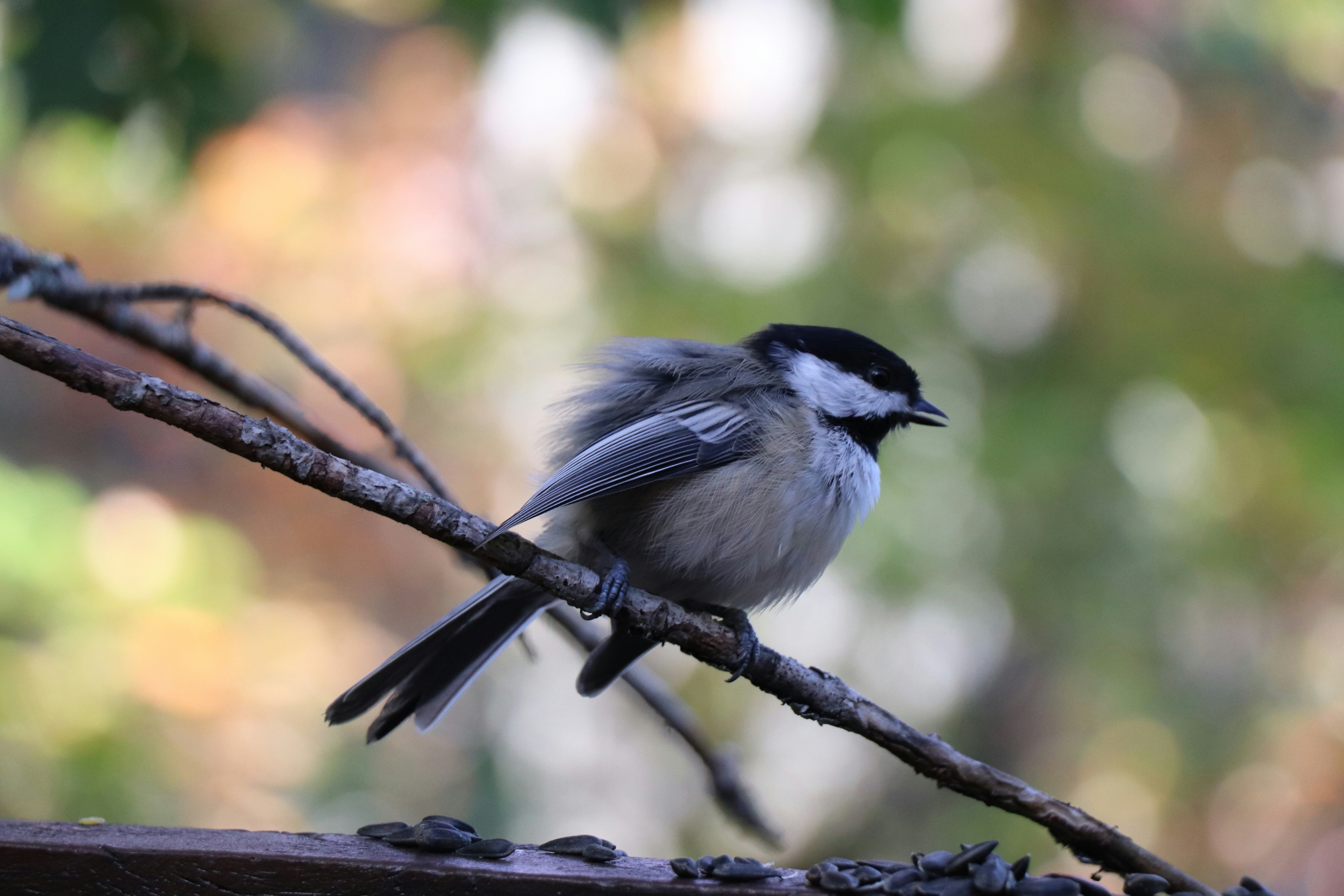 Photo by sandimagerart