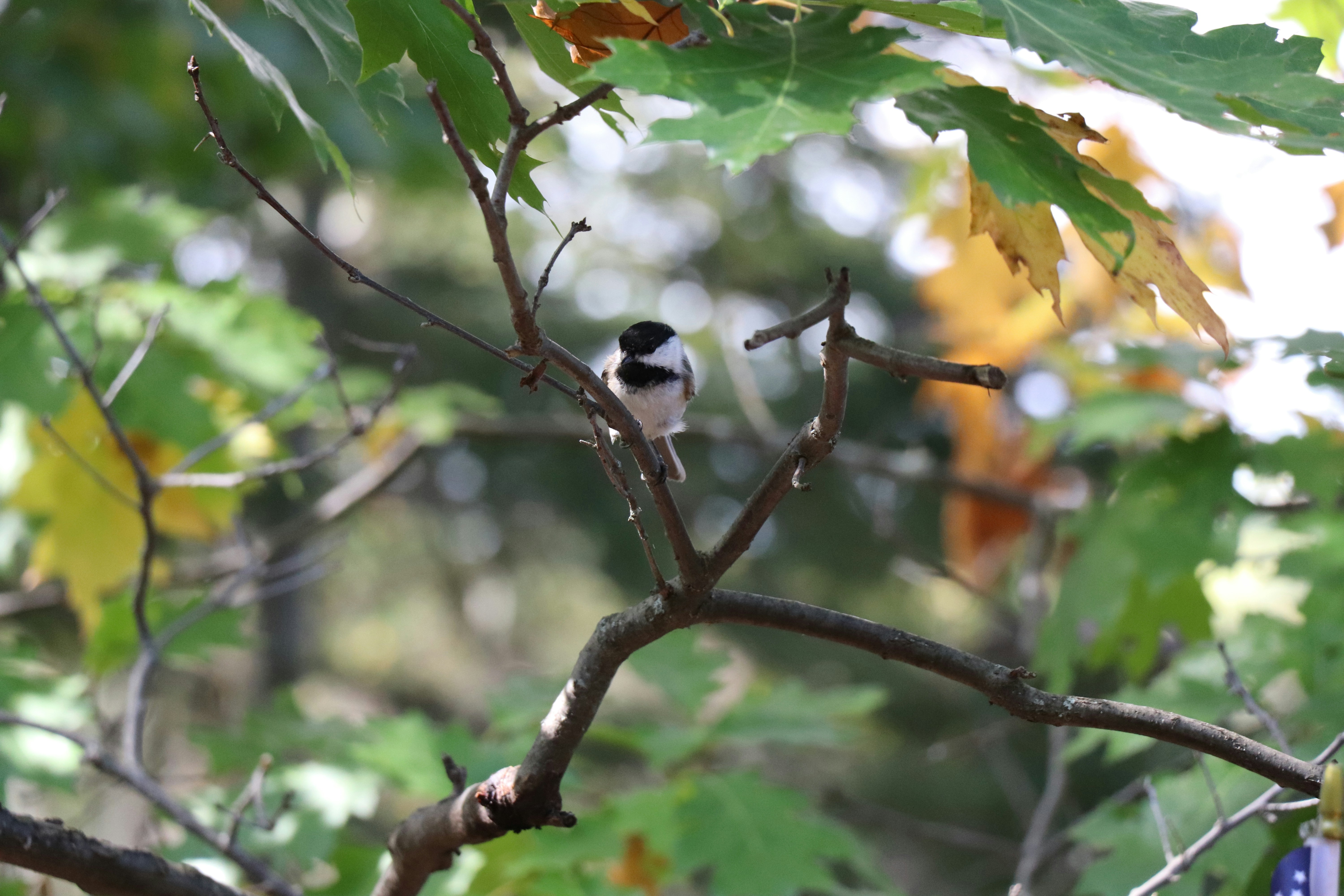 Photo by sandimagerart