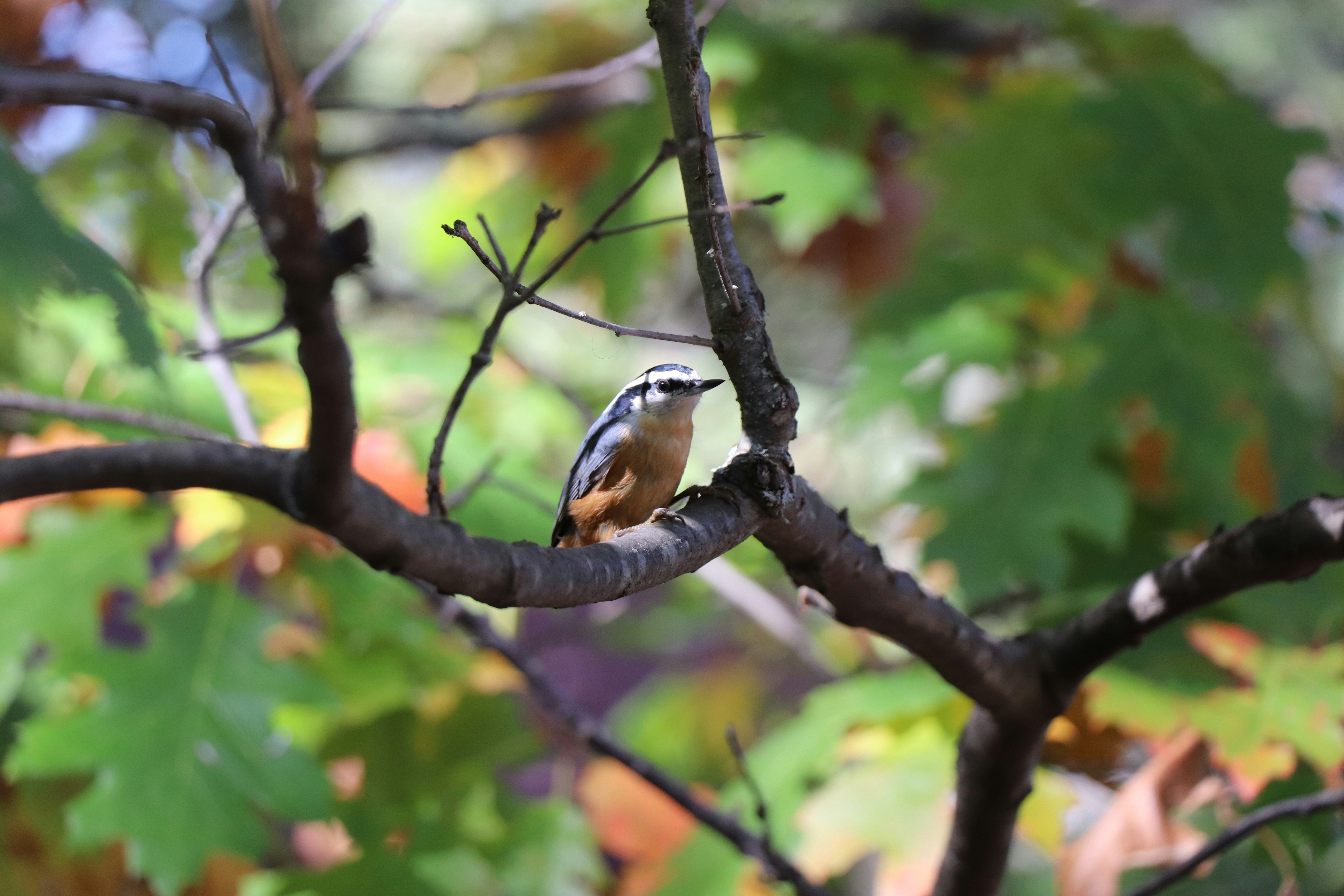 Photo by sandimagerart