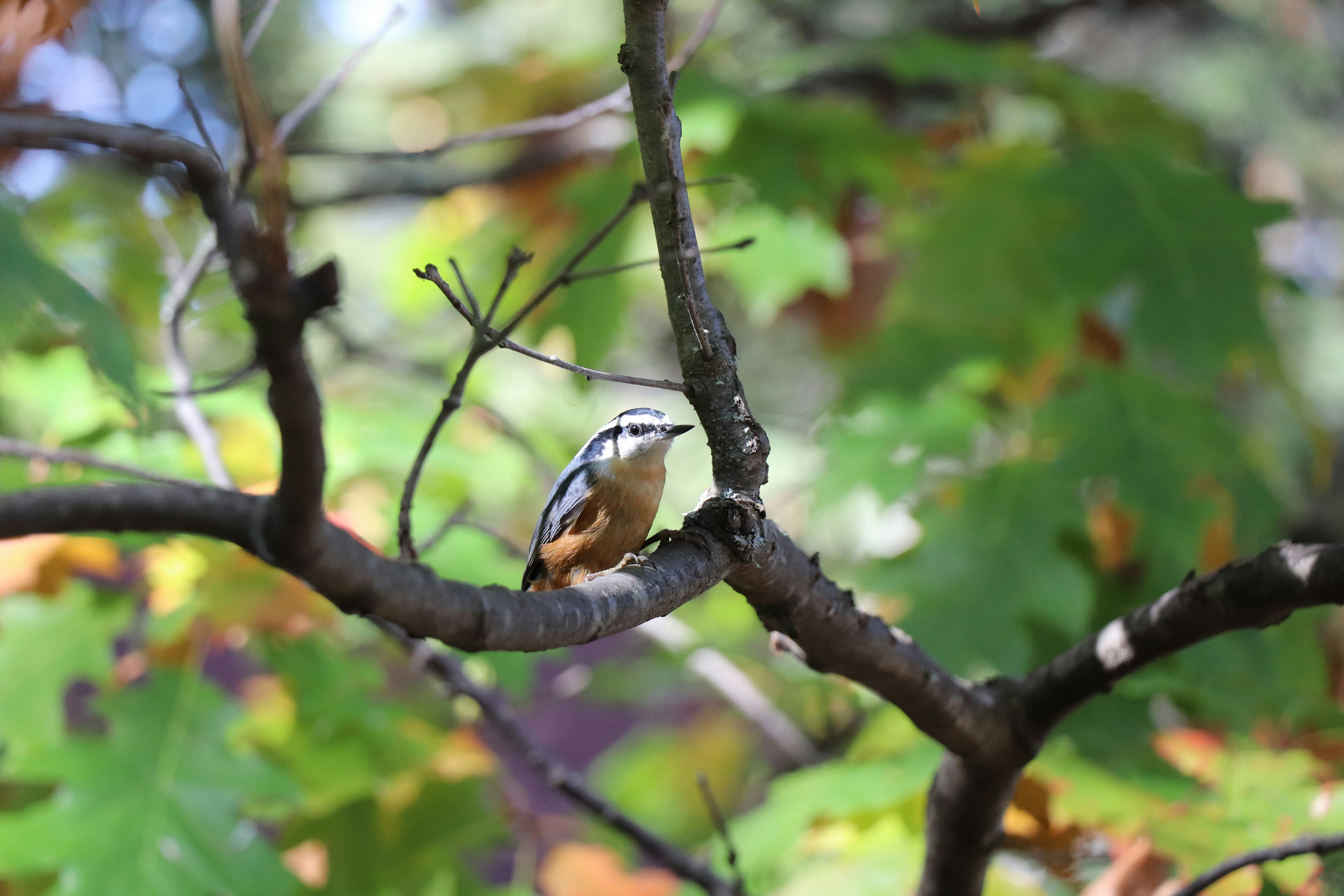 Photo by sandimagerart