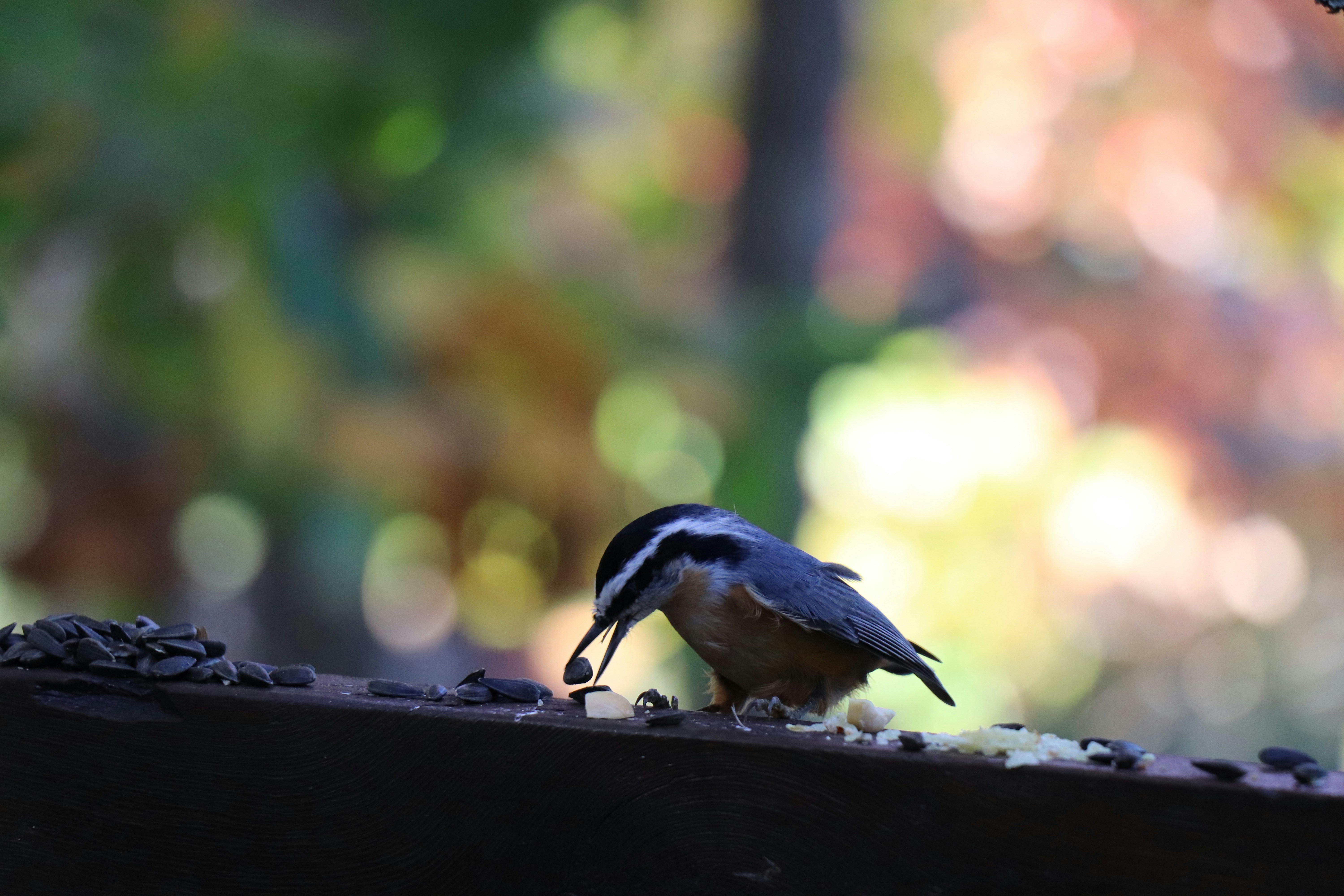 Photo by sandimagerart