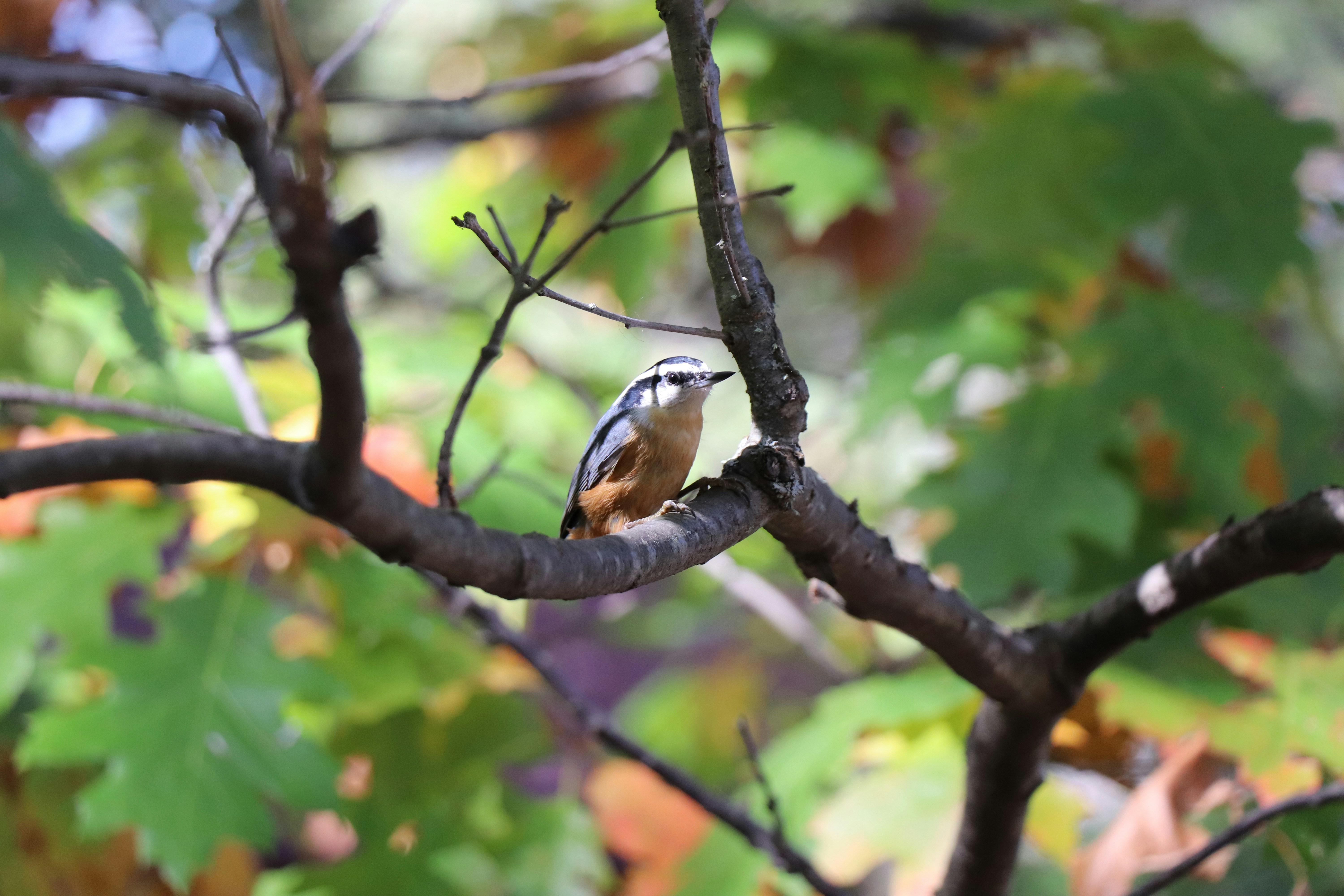 Photo by sandimagerart