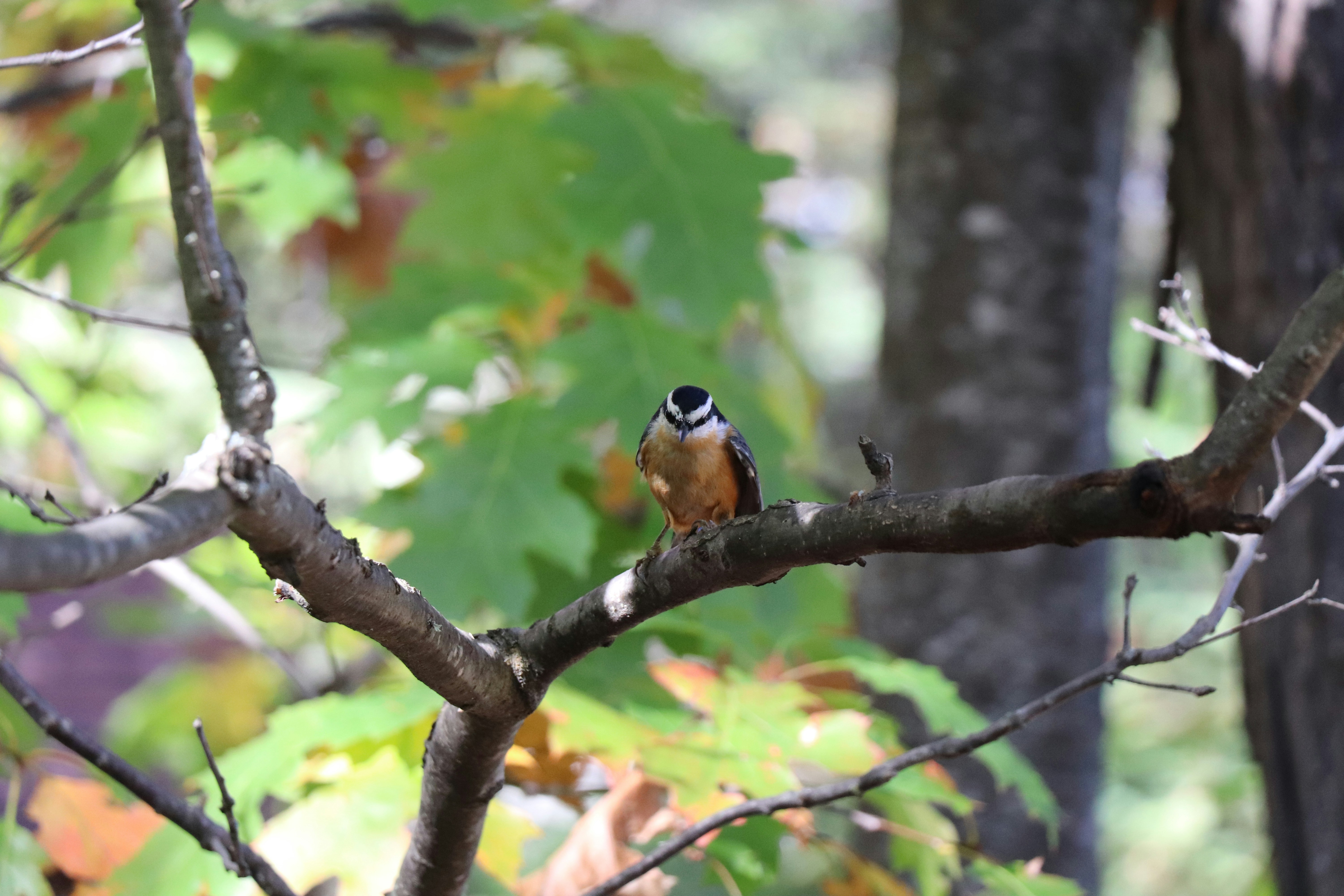 Photo by sandimagerart